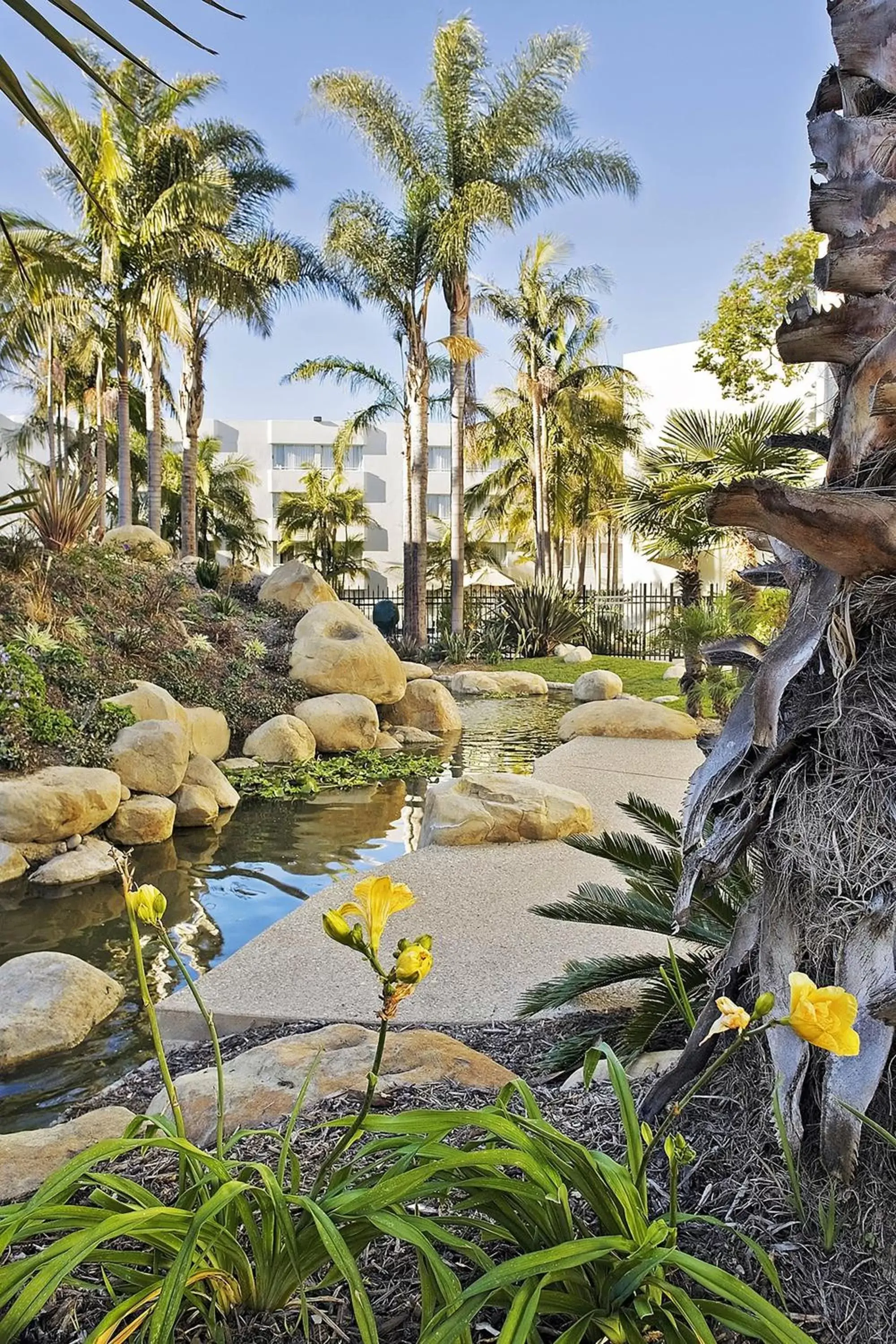 Other, Garden in Ventura Beach Marriott