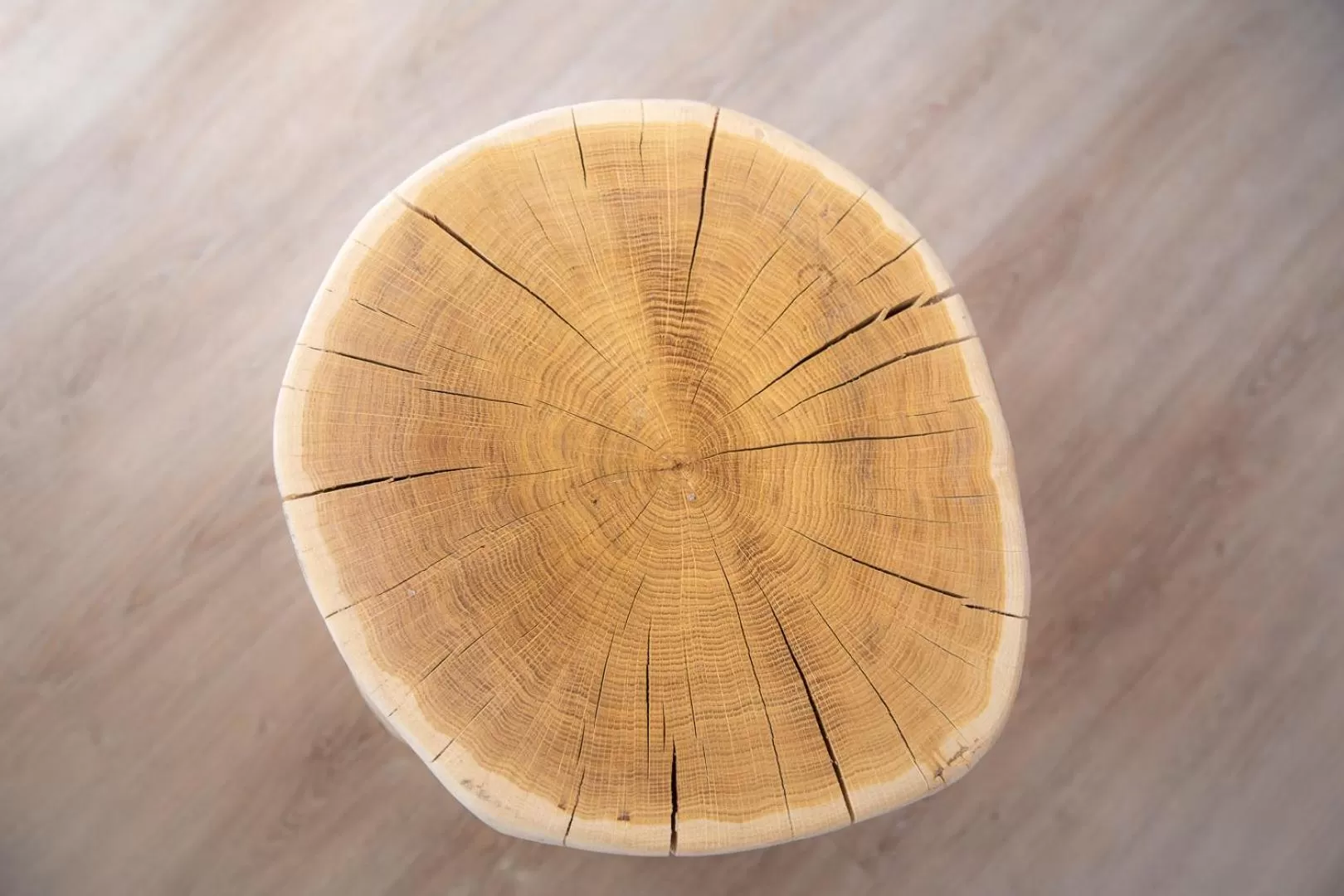 Decorative detail in Hotel Spessartstuben