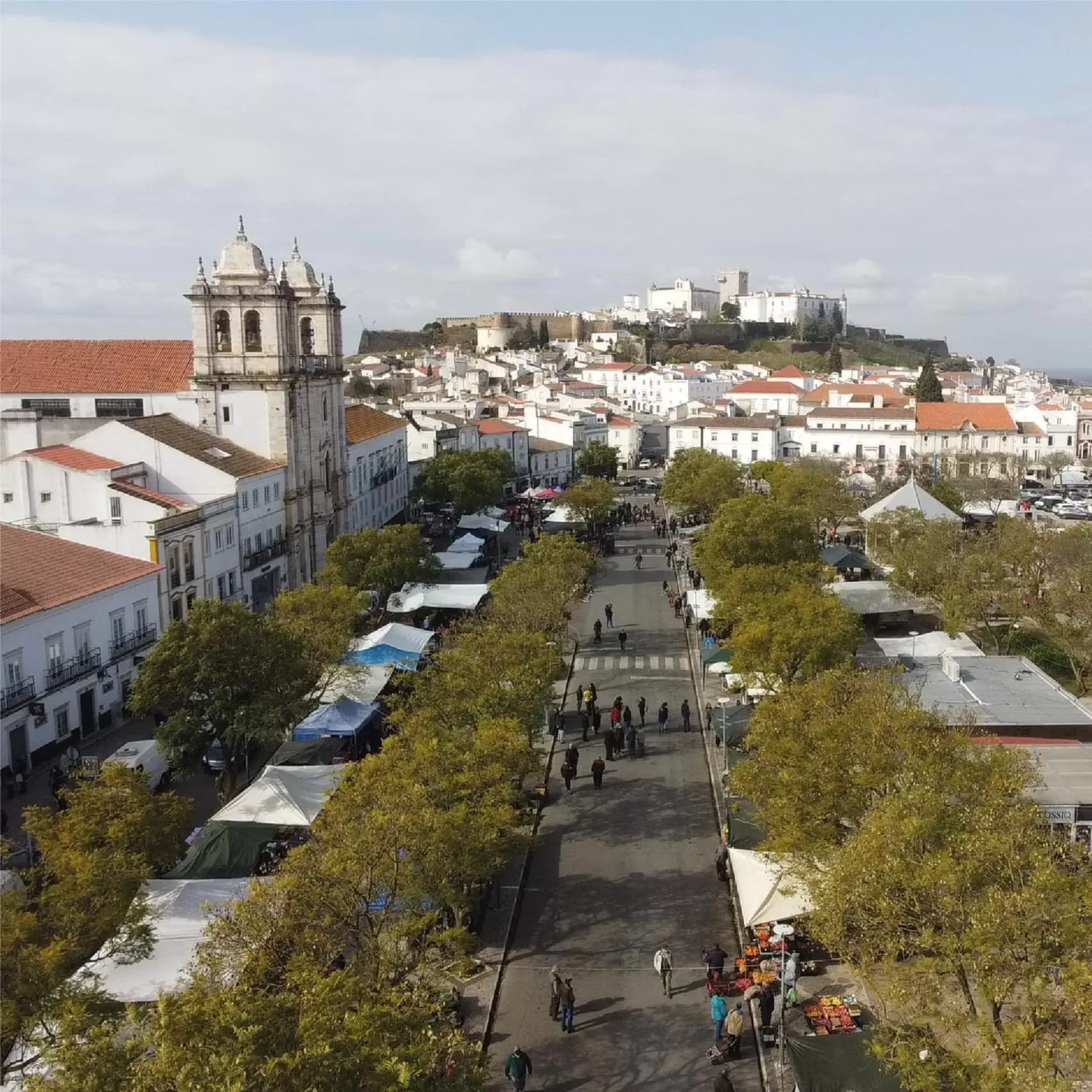 Bird's eye view in Casa do Gadanha