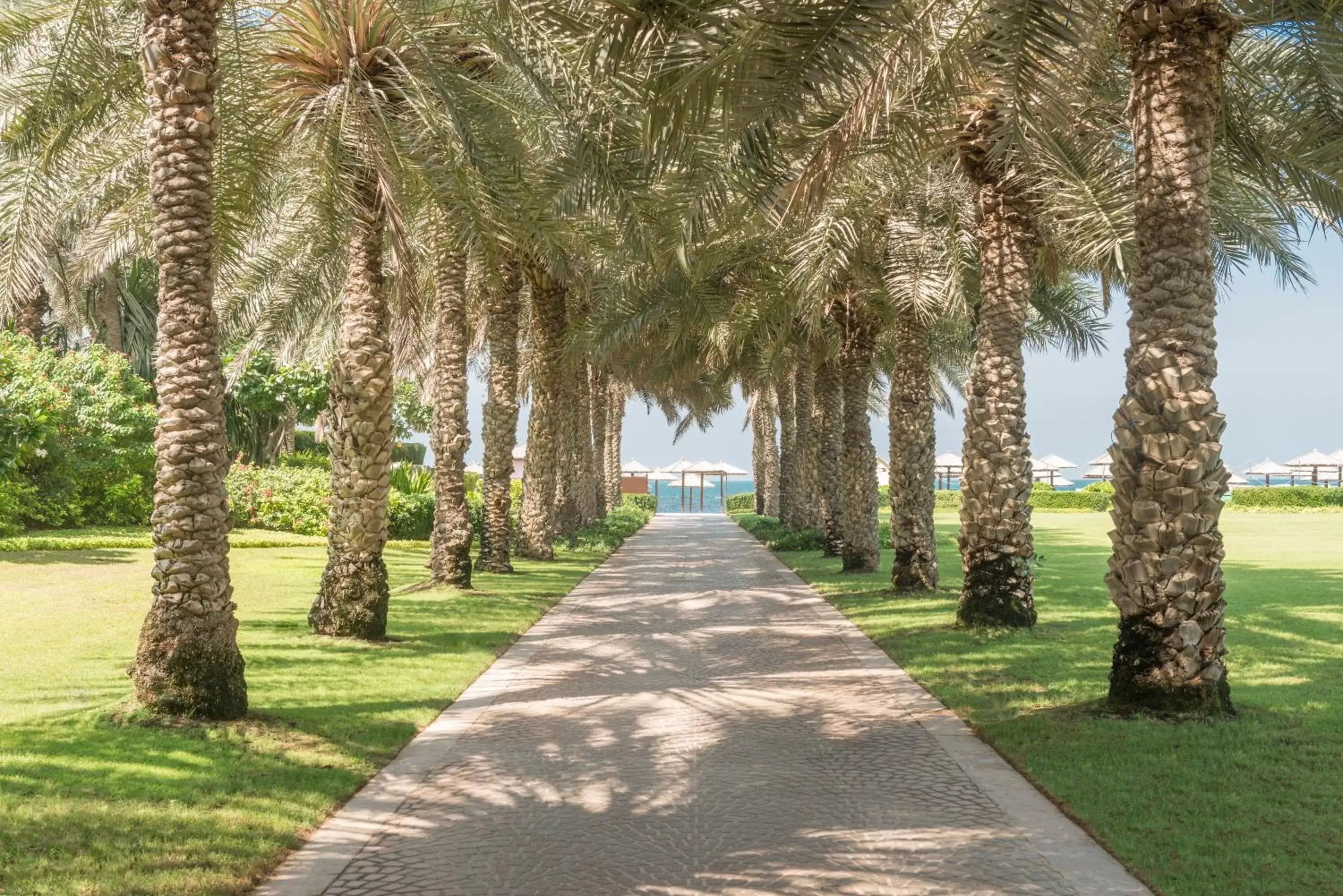Natural landscape in Coral Beach Resort Sharjah