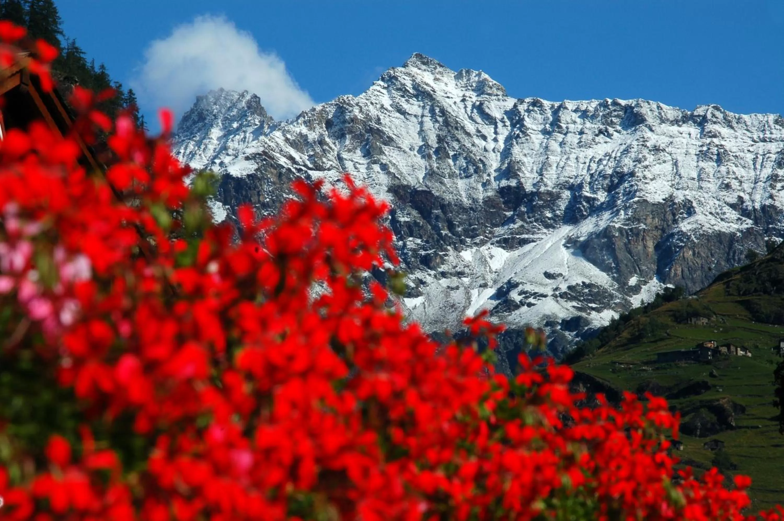 View (from property/room) in Hotel Tremoggia