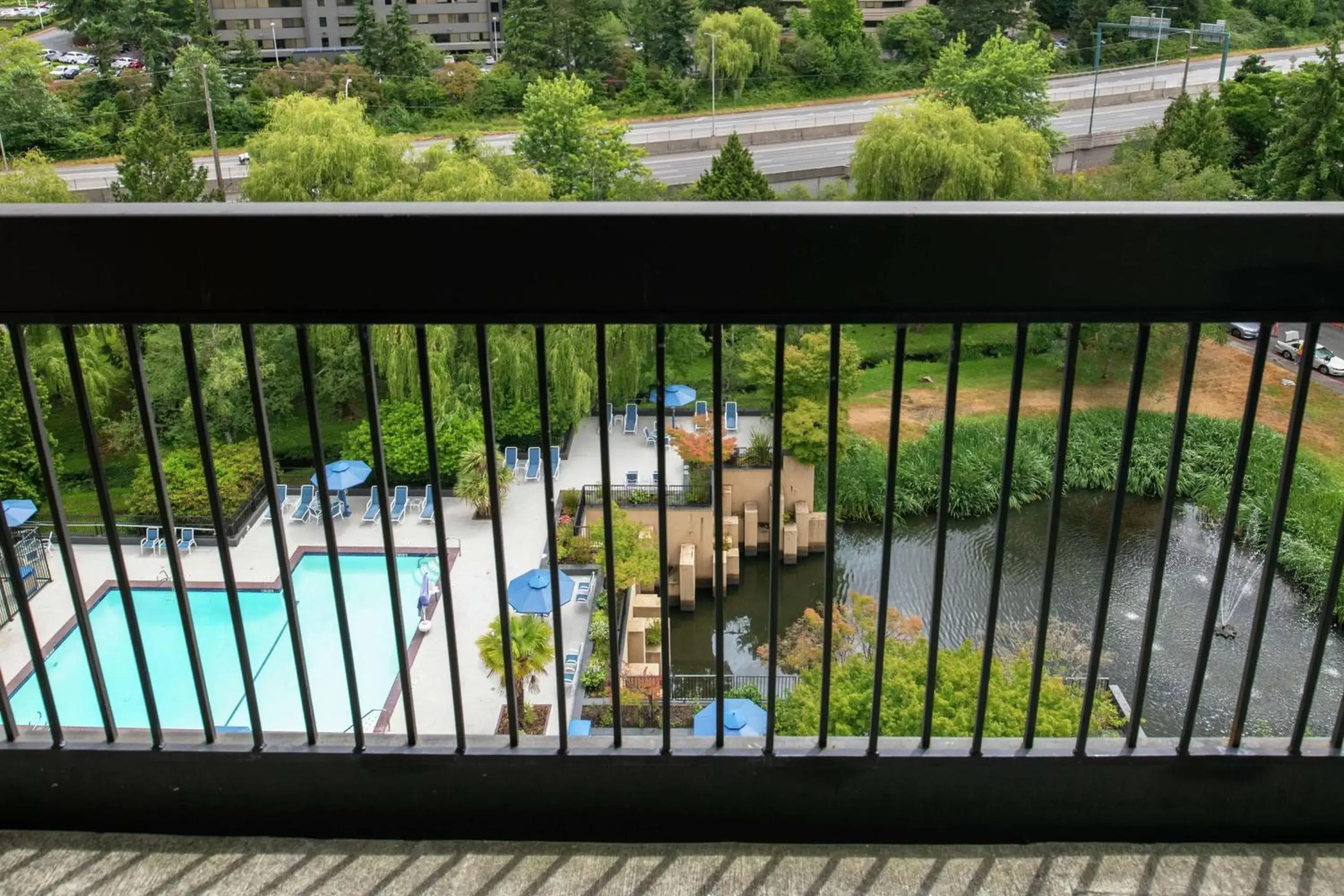 View (from property/room), Pool View in Hilton Bellevue
