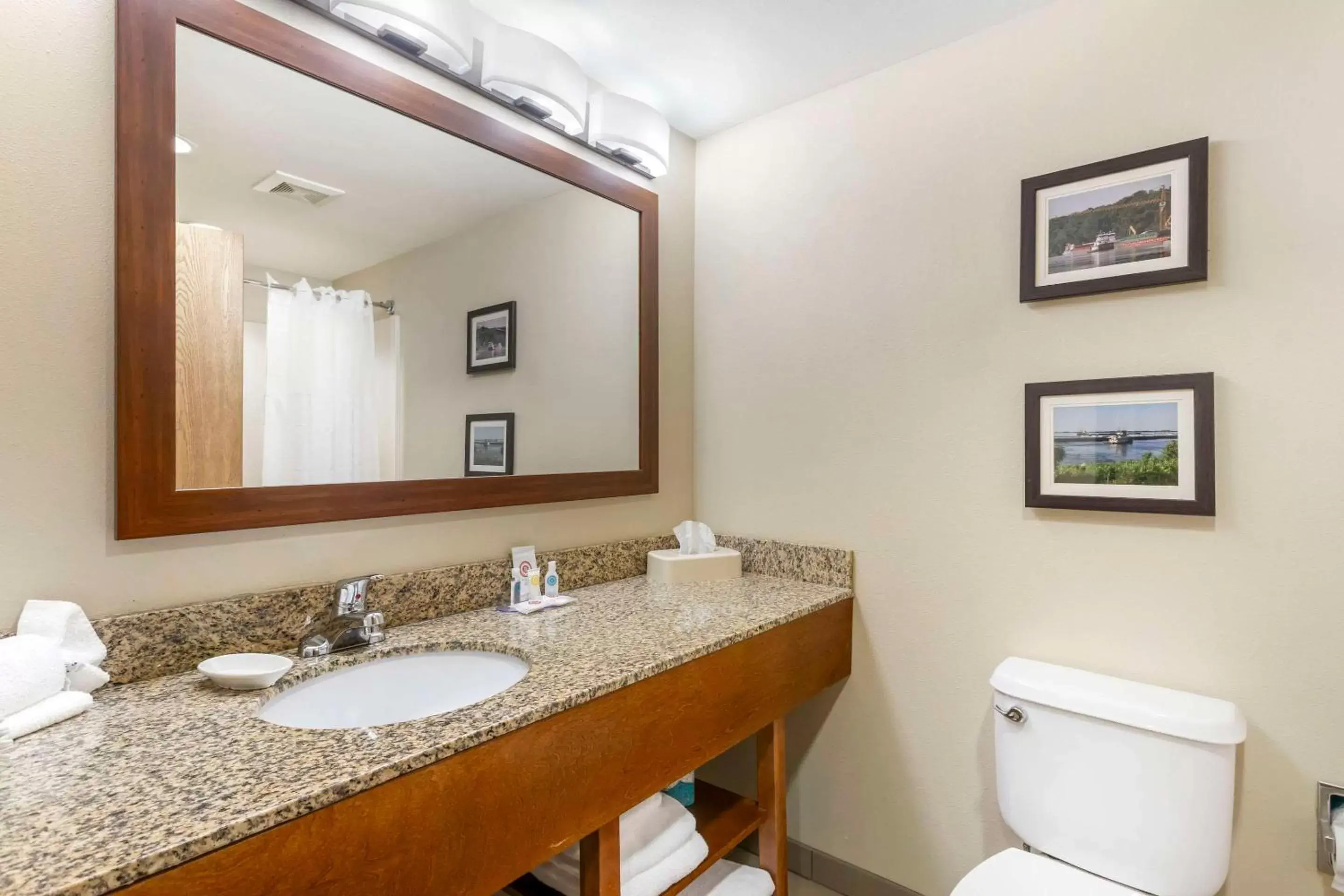 Bedroom, Bathroom in Comfort Inn & Suites Blytheville