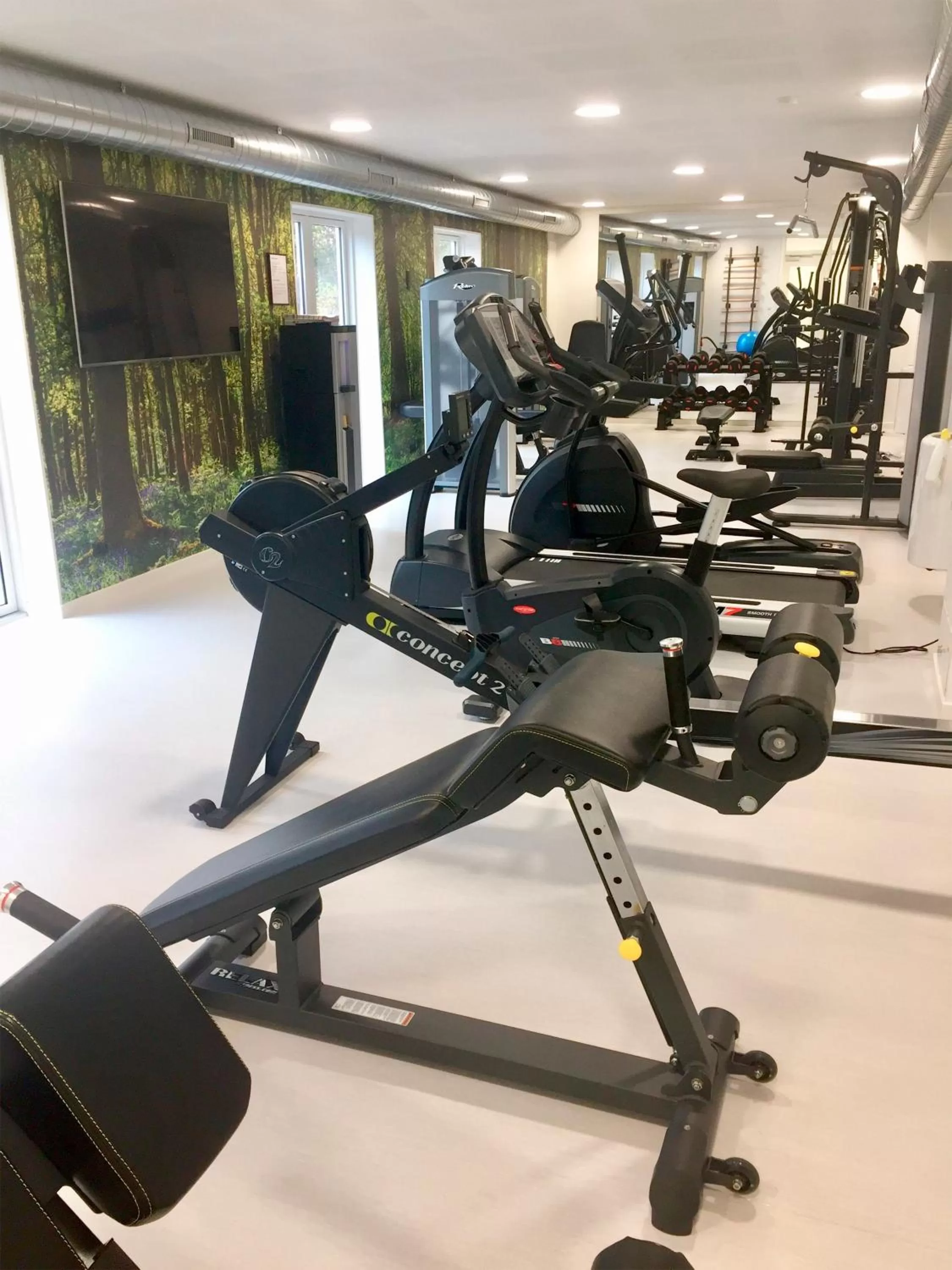 Fitness centre/facilities in Golf Hotel Viborg