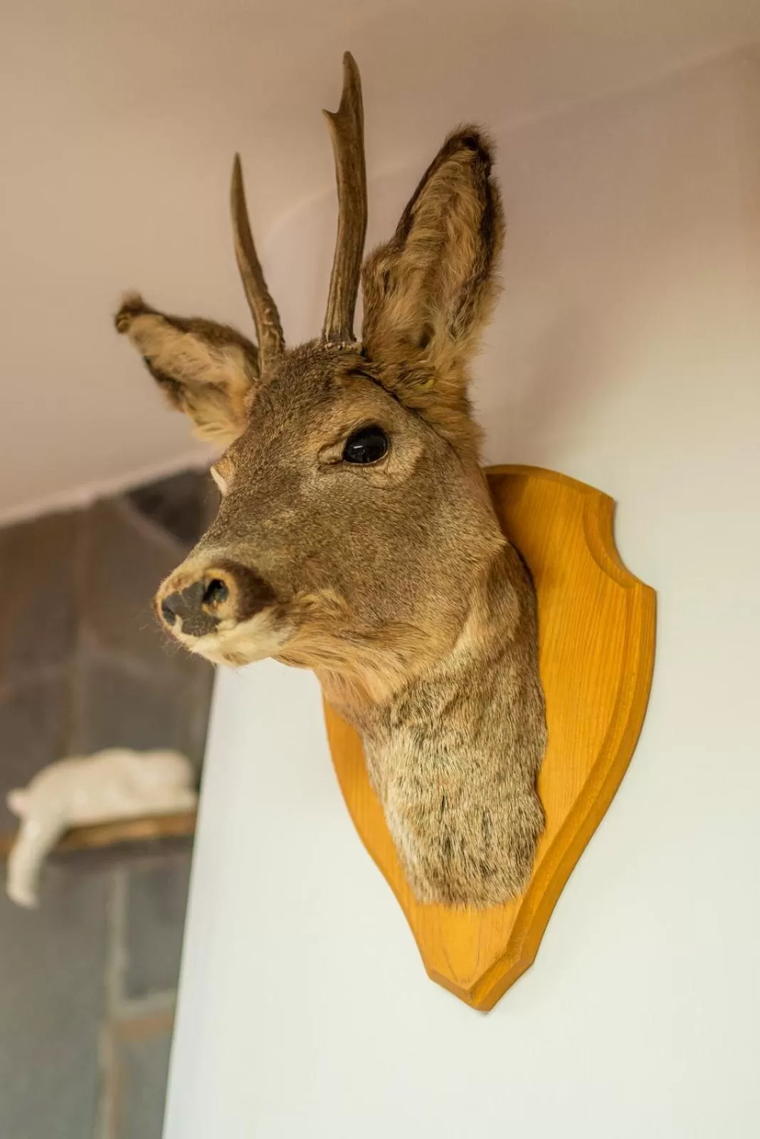 Decorative detail in Pokoje Gościnne U Małgorzaty Jacuzzi & Sauna