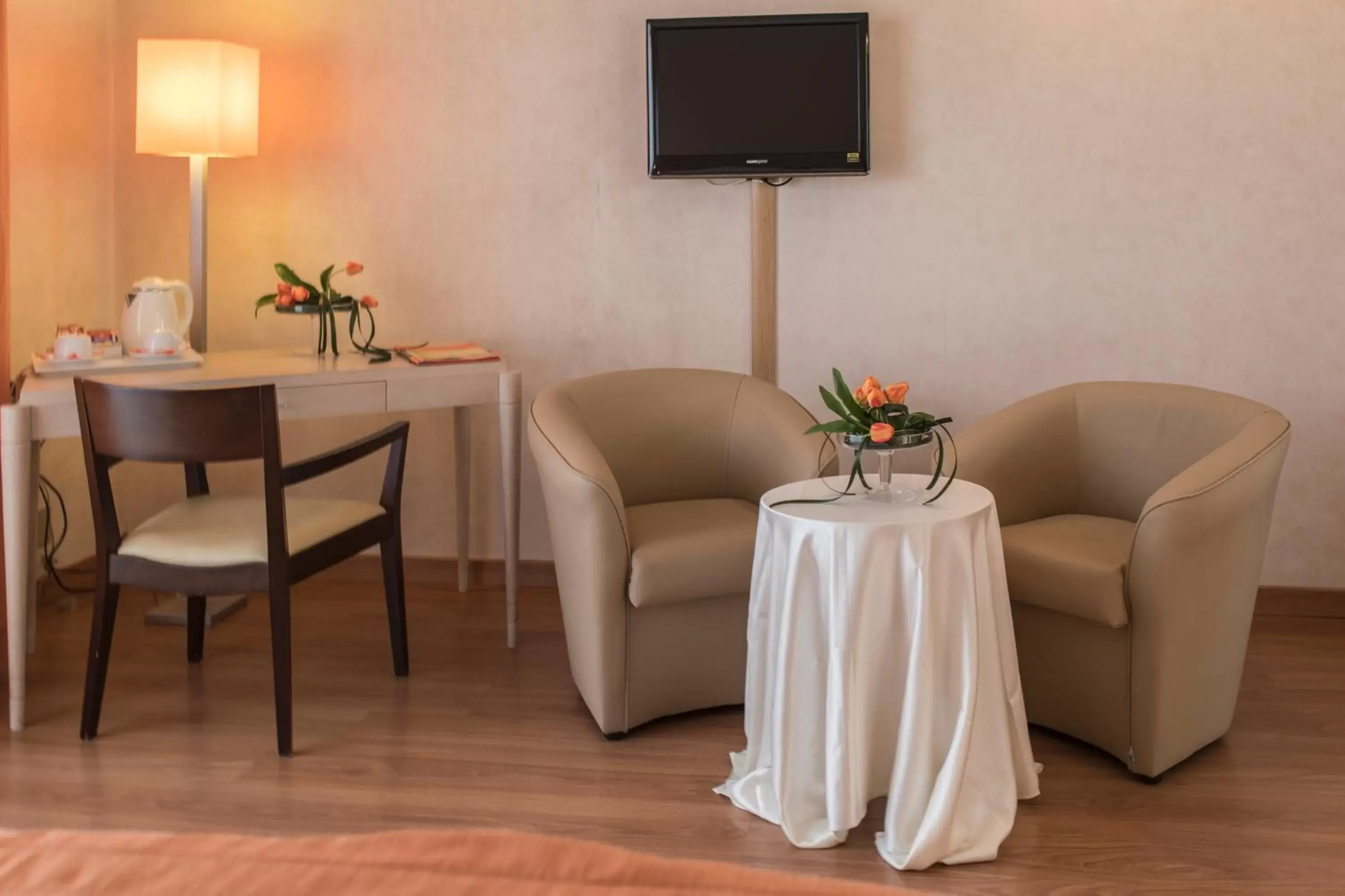 TV and multimedia, Seating Area in Hotel Donatello Imola