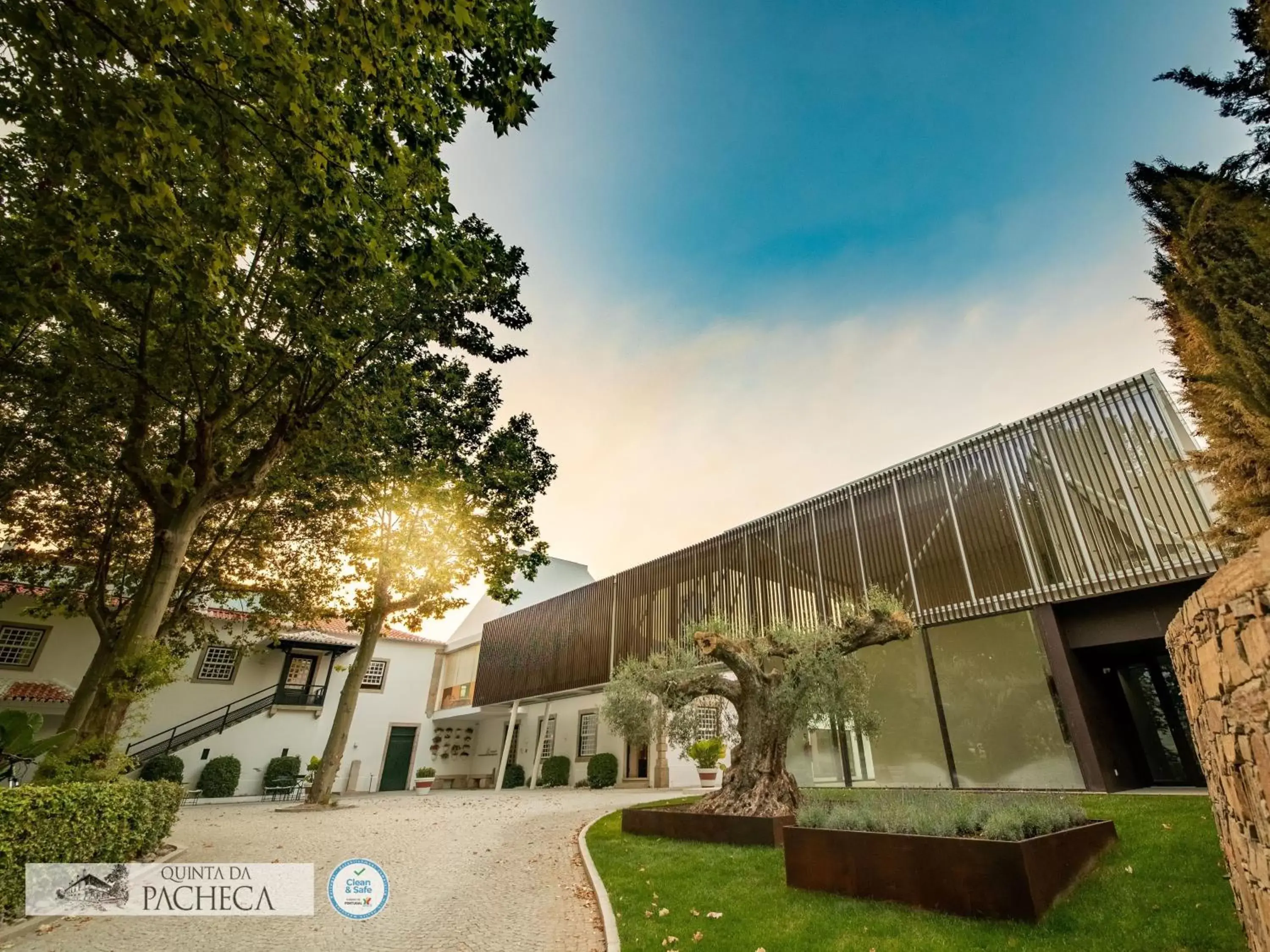 Lobby or reception, Property Building in The Wine House Hotel - Quinta da Pacheca