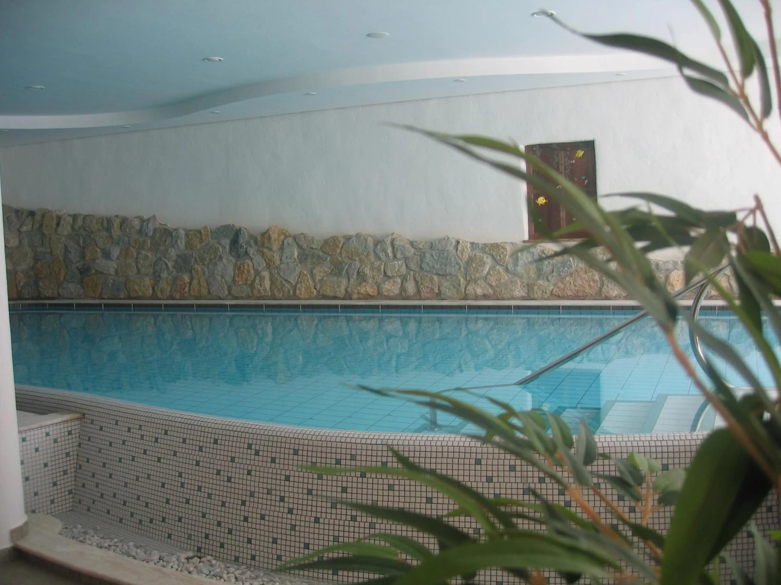 Hot Tub in Pineta Nature Resort - Wellness & SPA