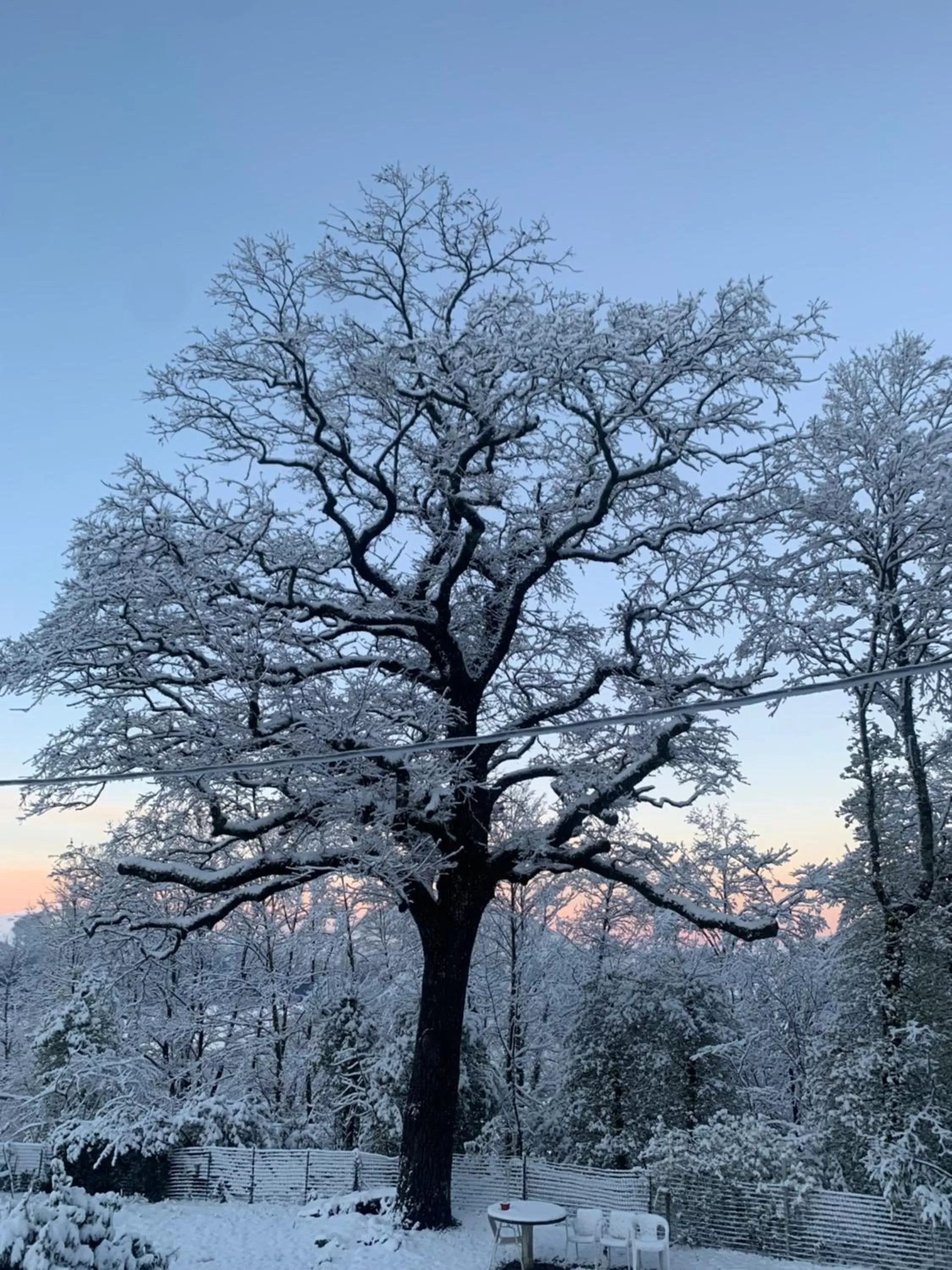 Winter in VillaOmbrosa