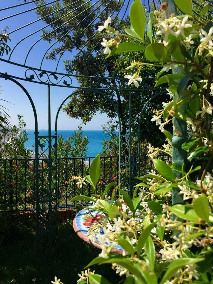 Garden in Grand Hotel De Rose