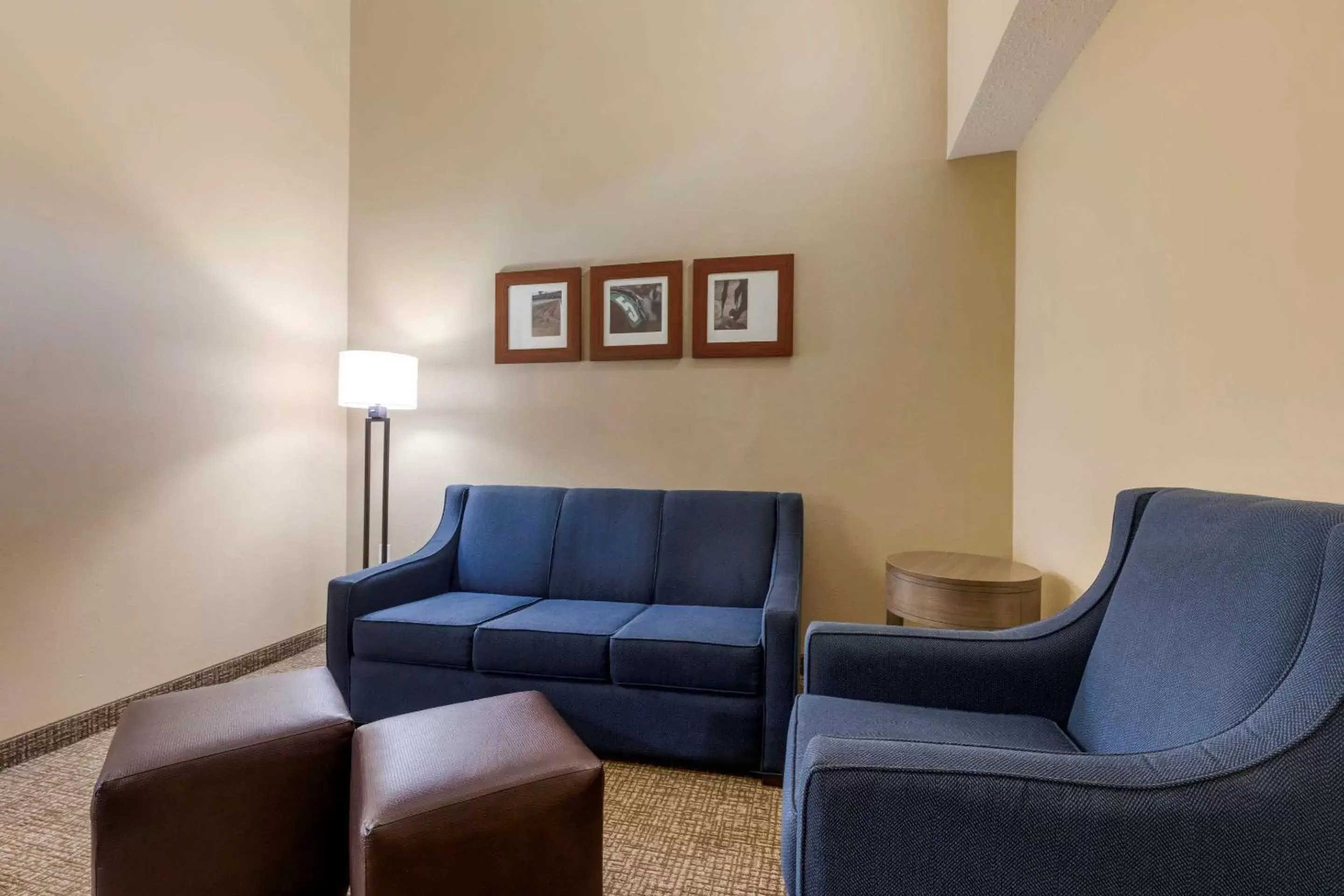 Seating Area in Comfort Suites DFW Airport