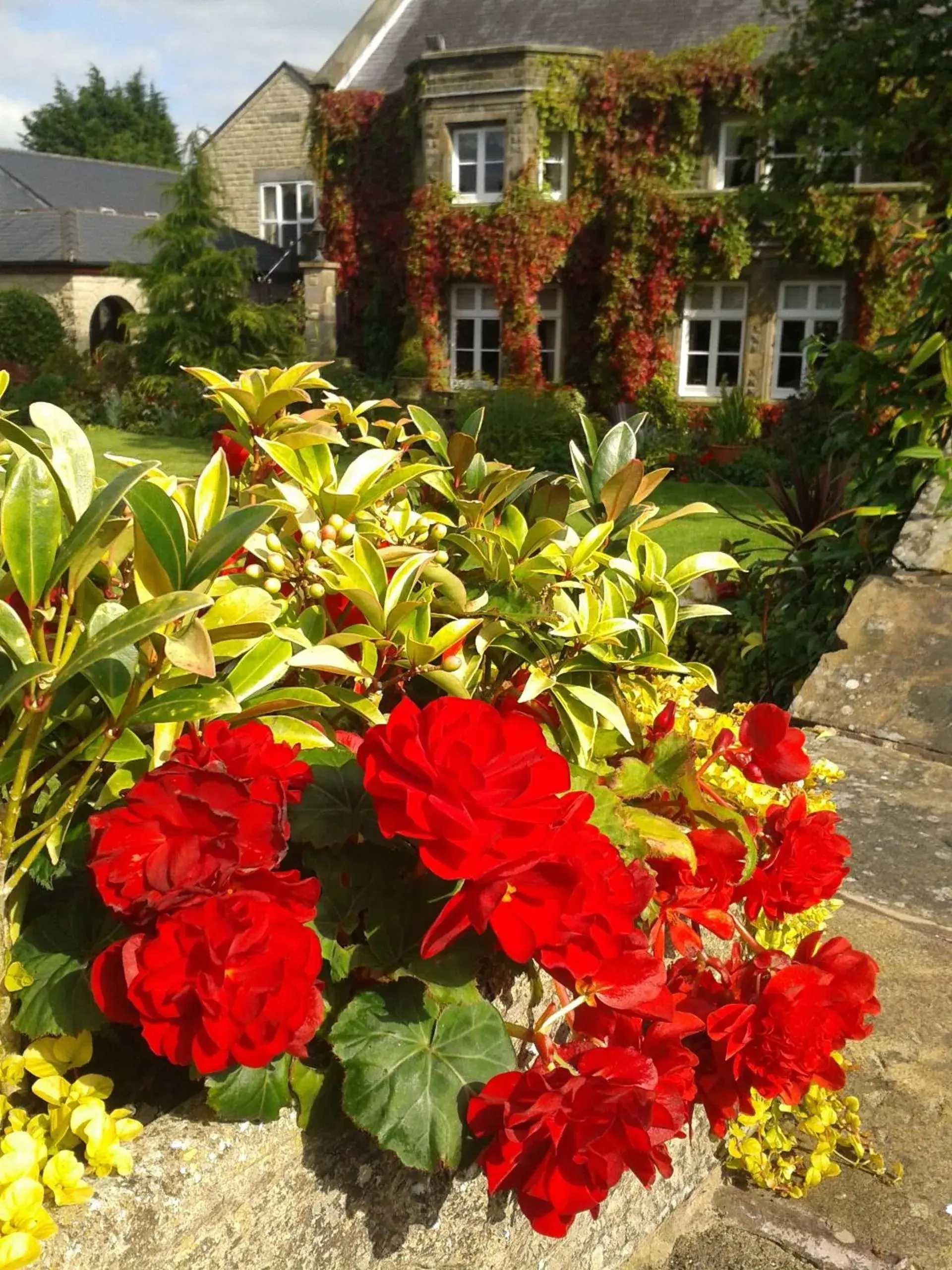 Facade/entrance, Property Building in Ferraris Country House Hotel