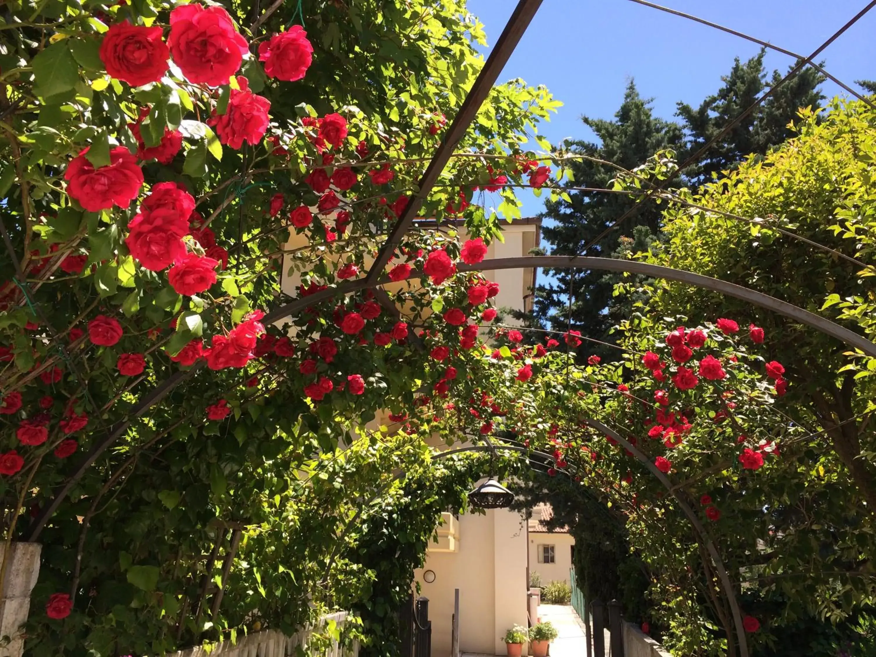 Spring, Garden in Hotel Parco Delle Rose