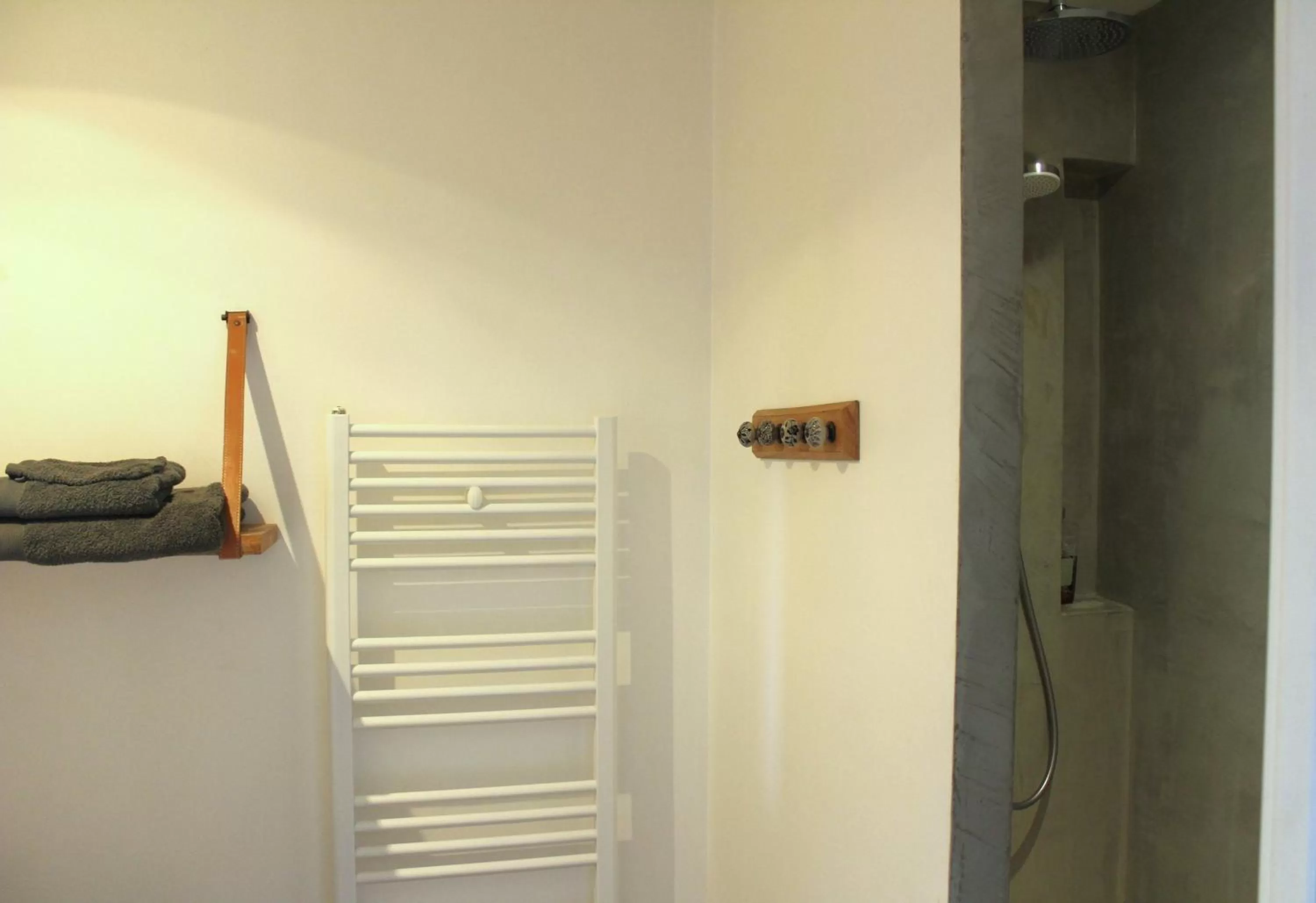 Shower, TV/Entertainment Center in La Grande Maison