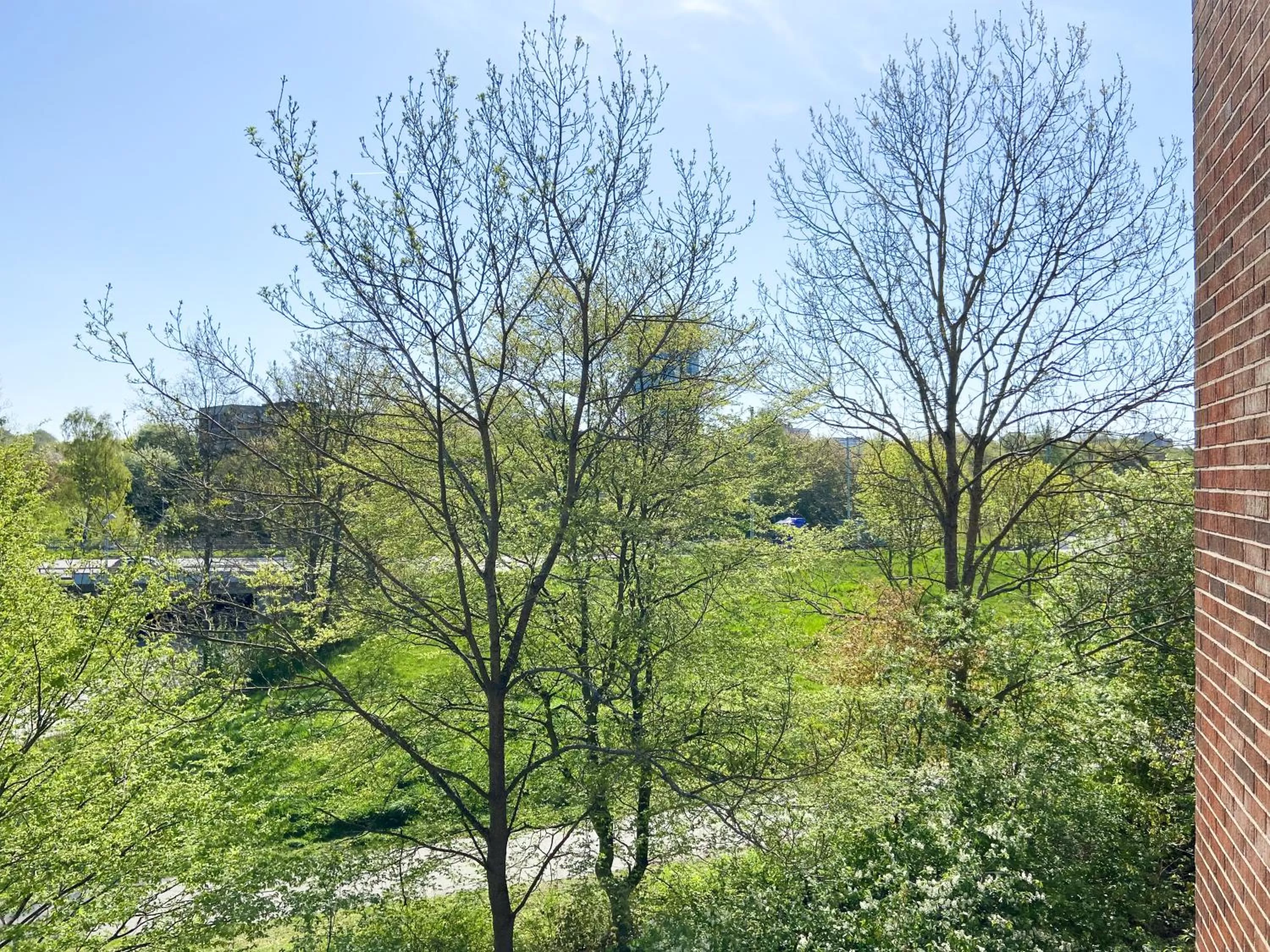 Garden view in Good Morning + Helsingborg