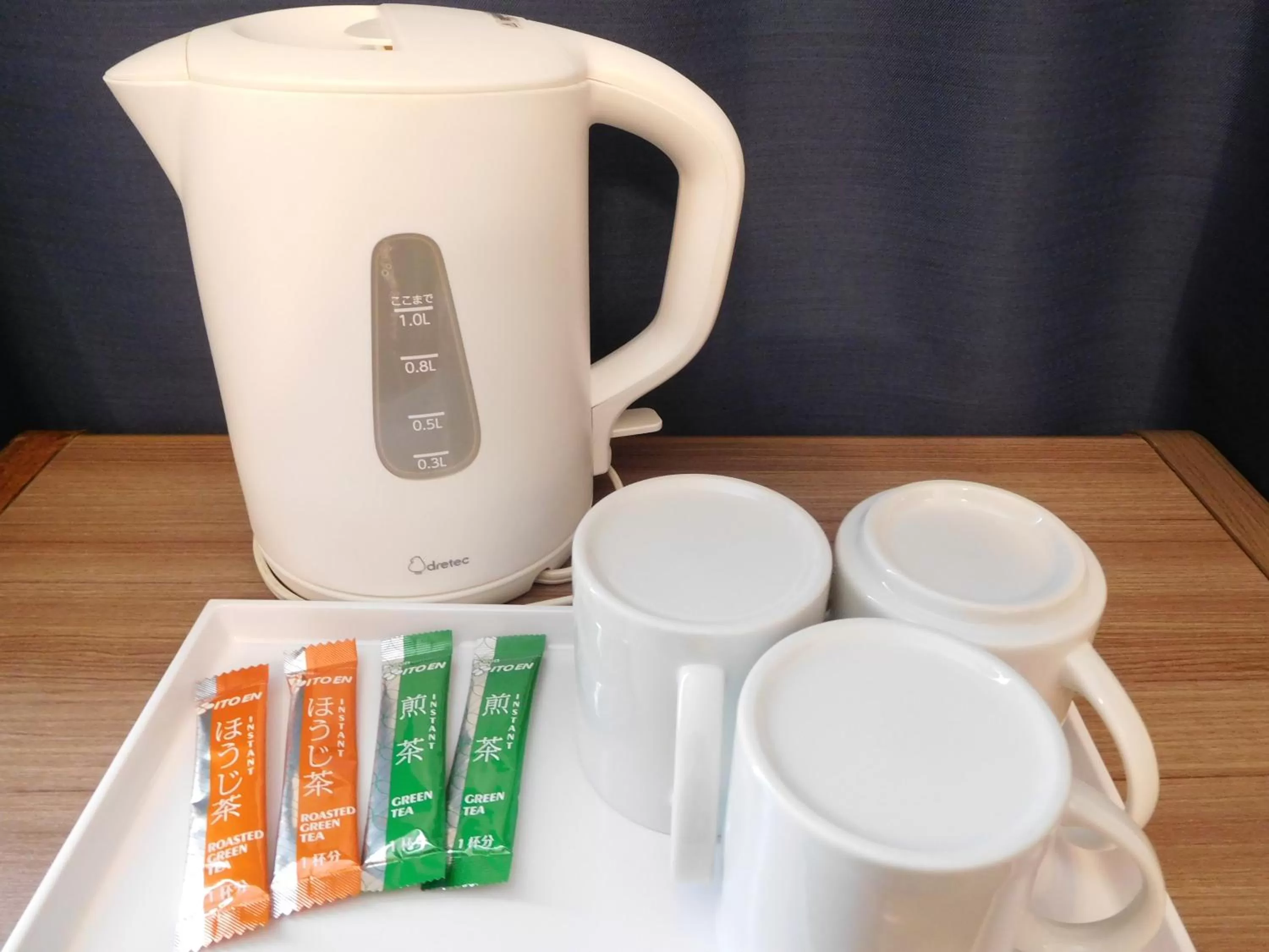 Other in Henn na Hotel Laguna Ten Bosch