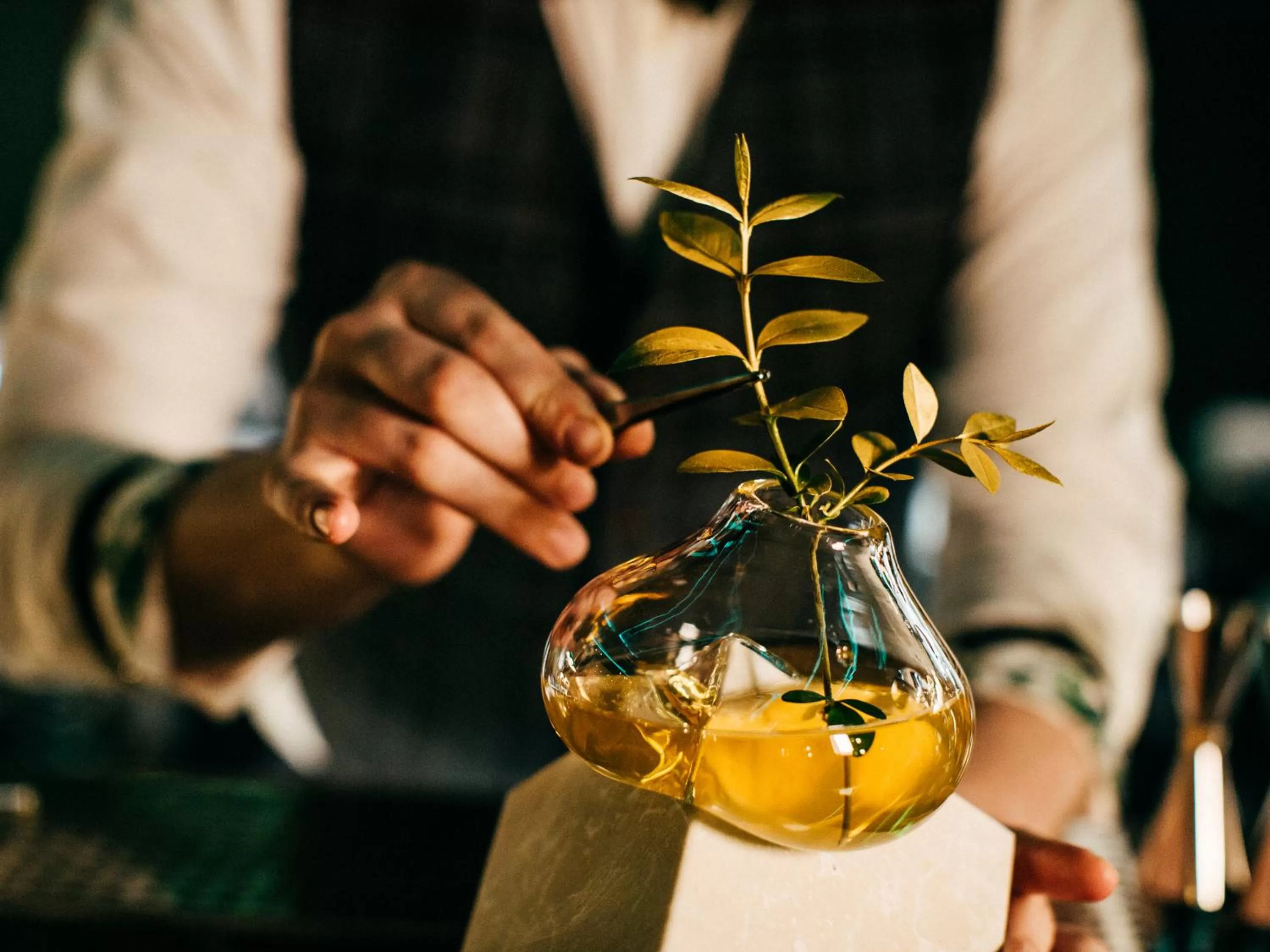Lounge or bar in Radisson Blu Carlton Hotel, Bratislava