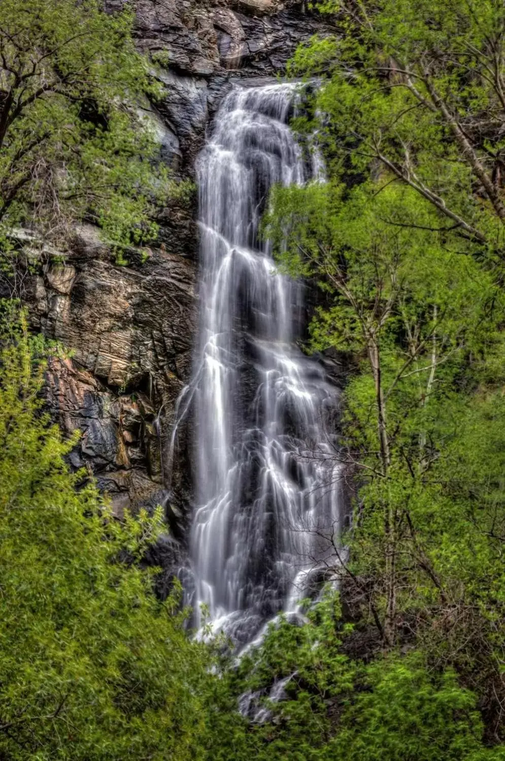 Natural Landscape in Best Western Black Hills Lodge