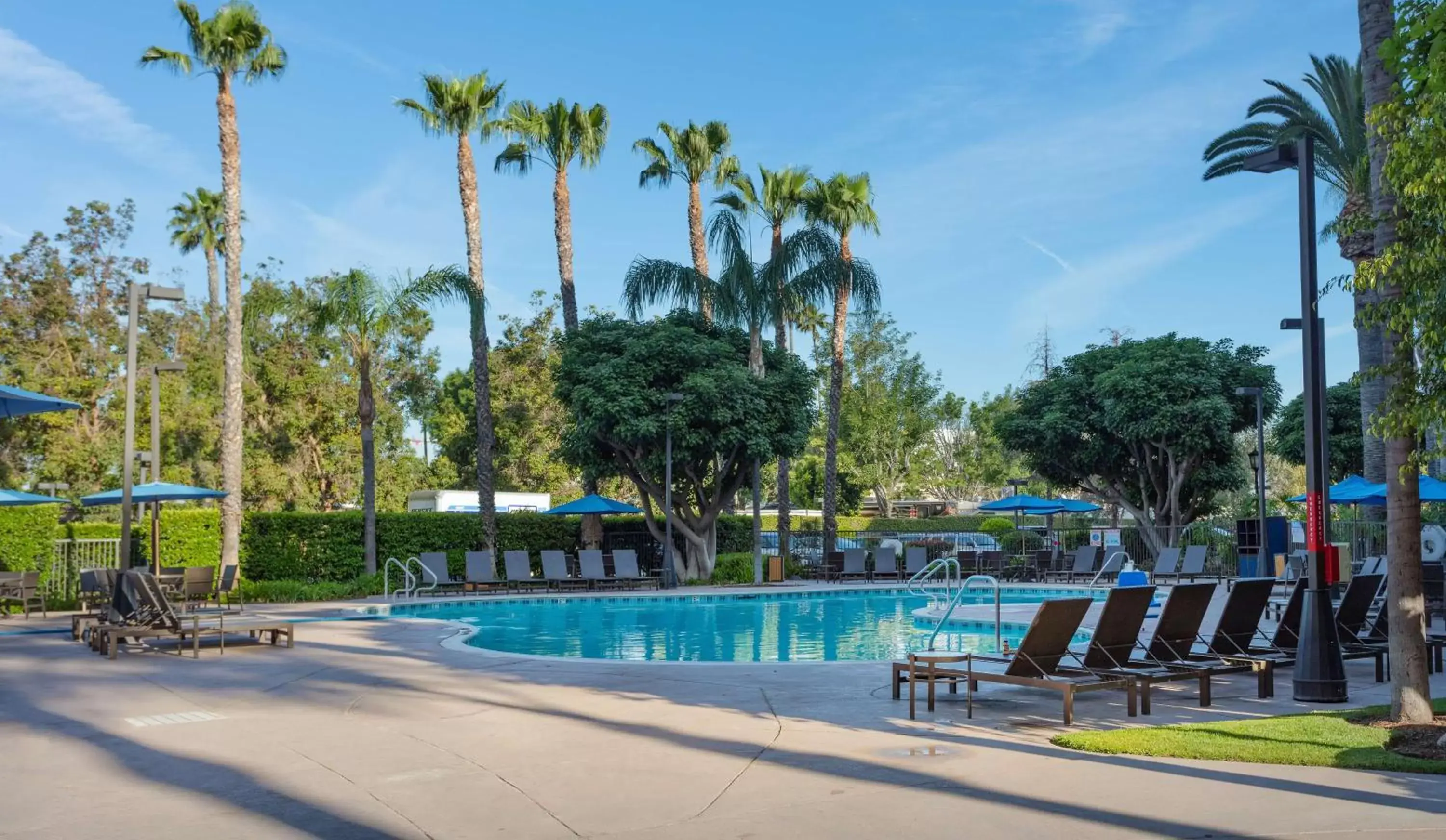 Activities, Swimming Pool in Sonesta ES Suites Anaheim Resort Area