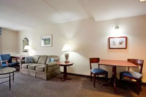 Living room, Seating Area in Holiday Inn Express & Suites Newport News, an IHG Hotel