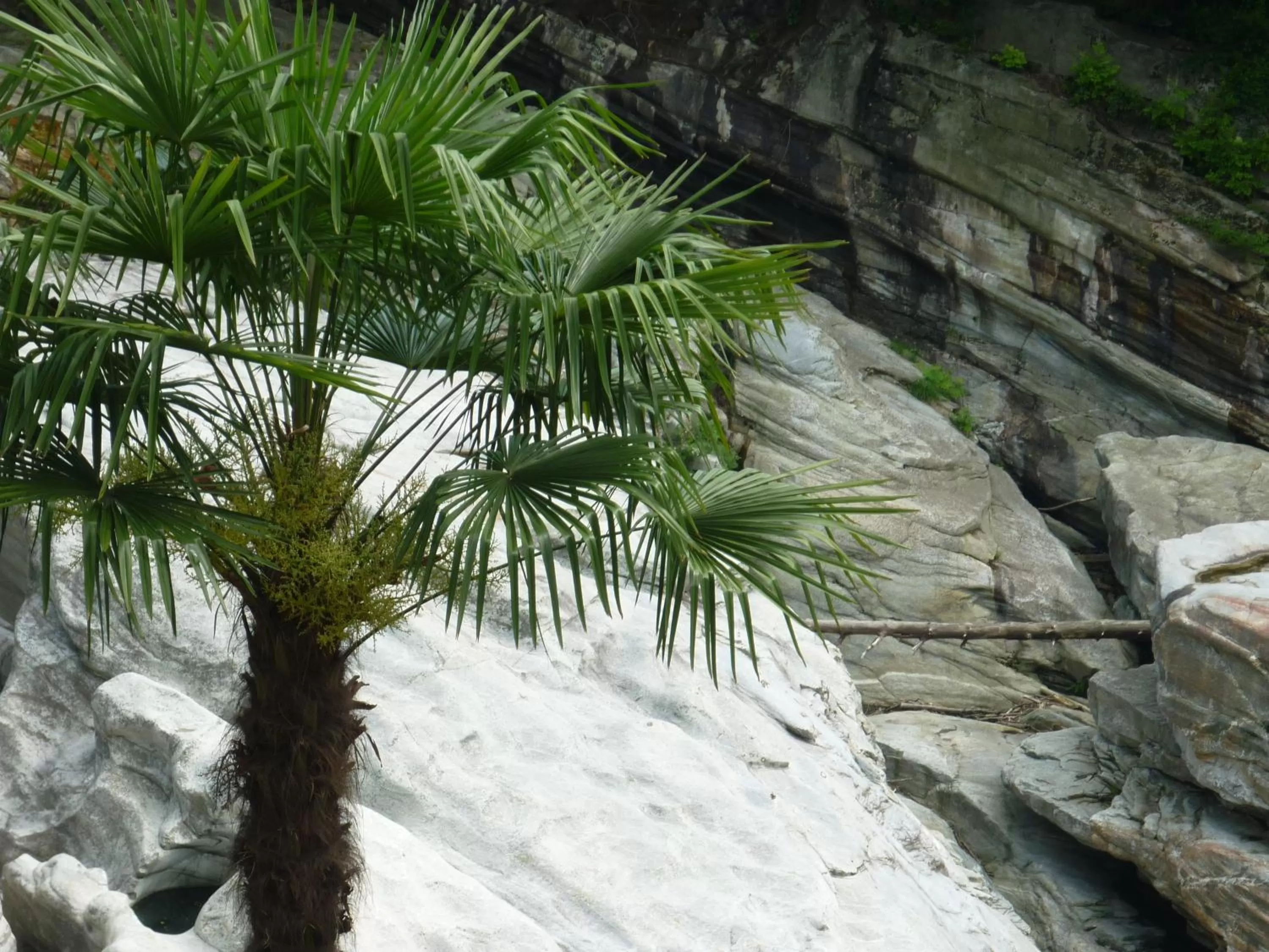 River view in Charme Hotel Ristorante Tre Terre