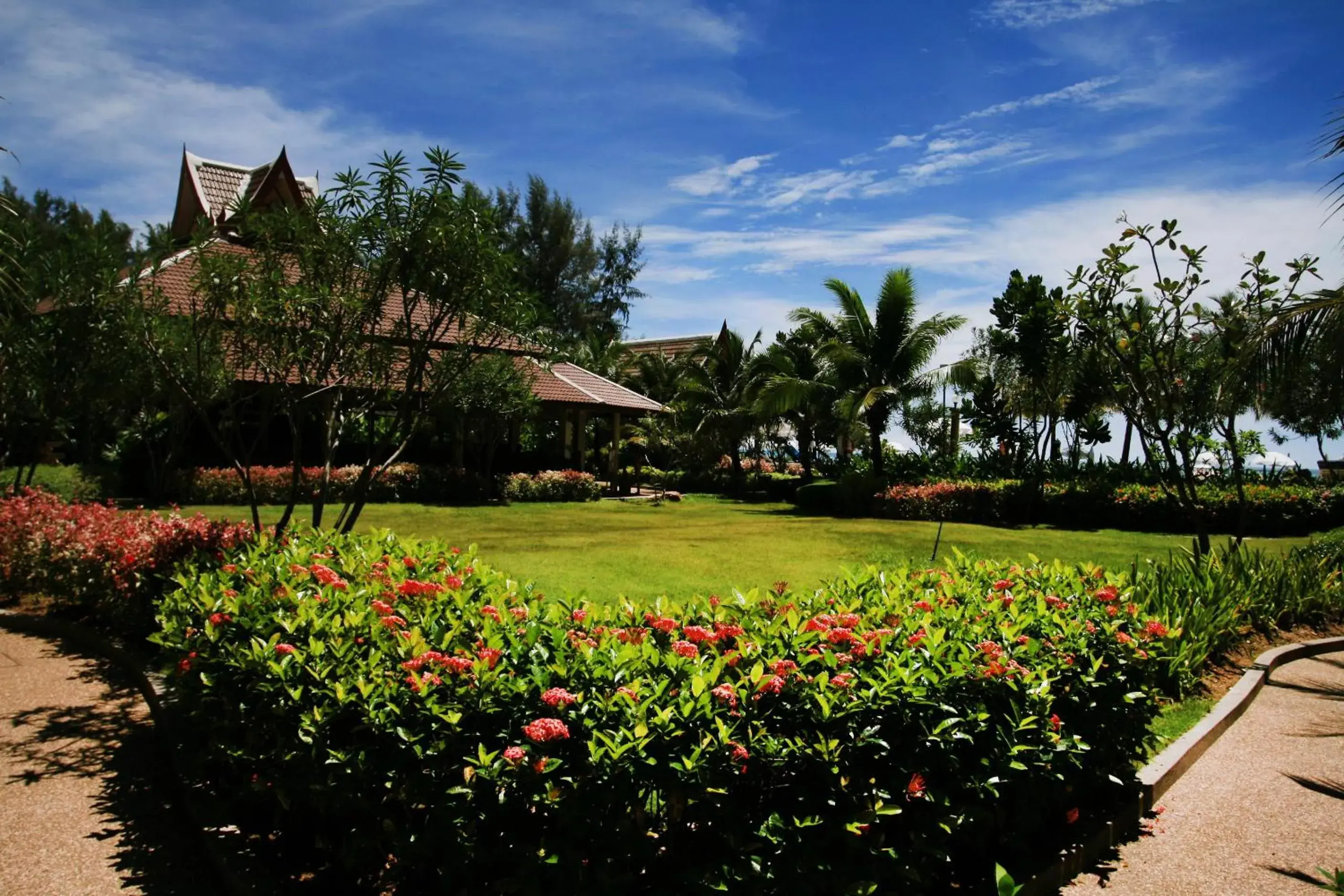 Garden in Lanta Casuarina Beach Resort - SHA Plus