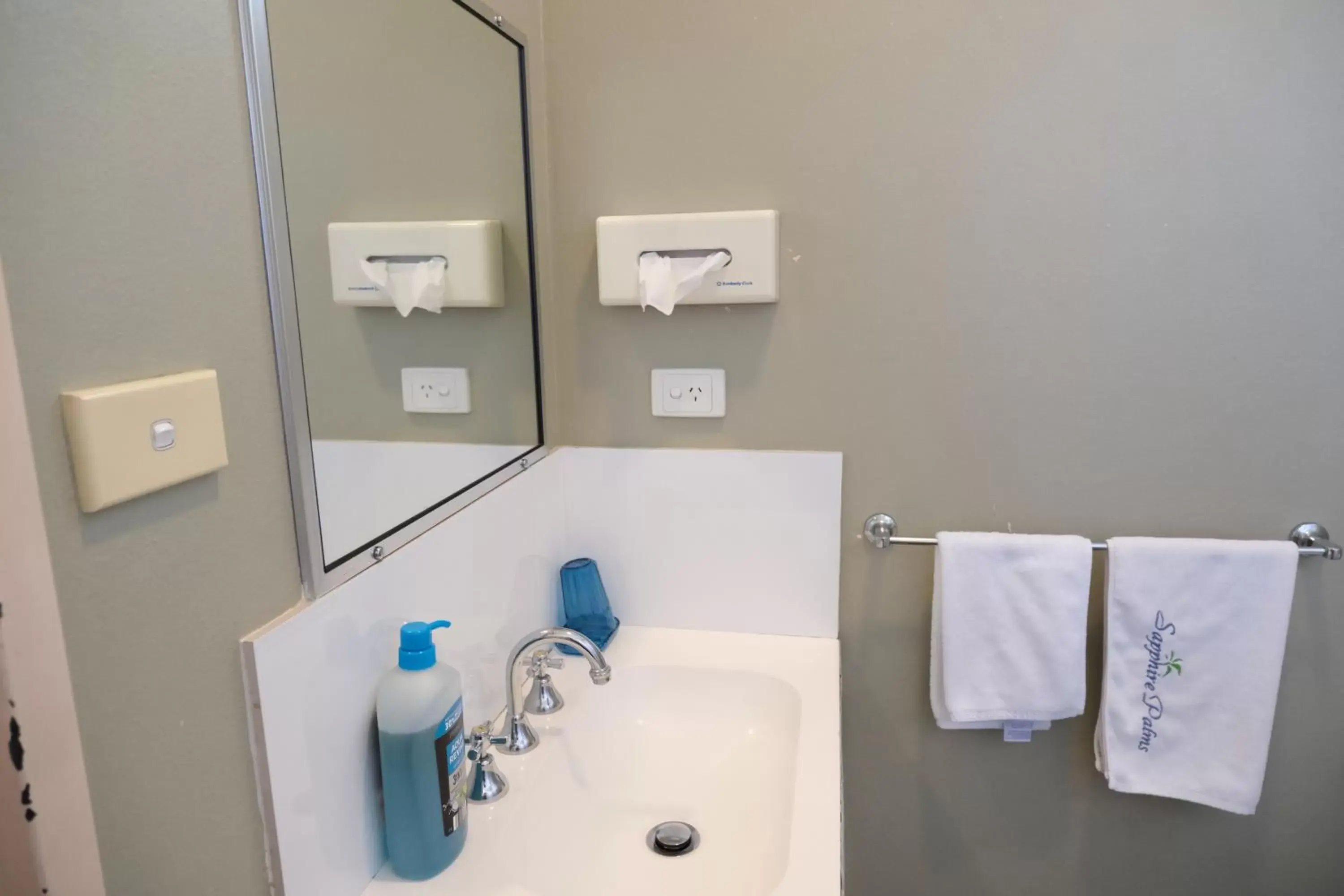 Shower, Bathroom in Sapphire Palms Motel