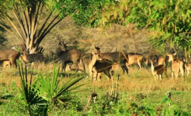 Other in ILLIRA Hotel Banyuwangi