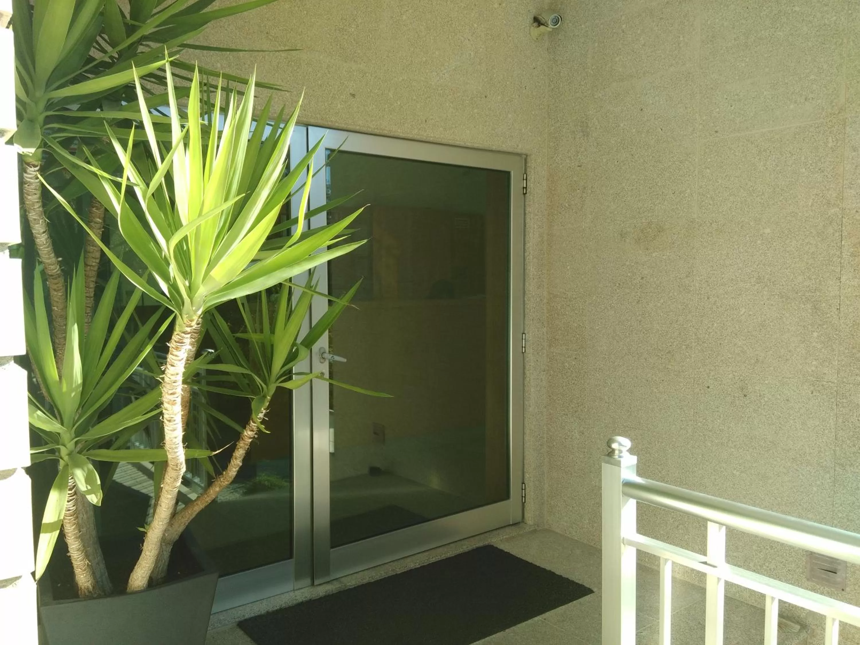 Facade/entrance in Dom Hotel