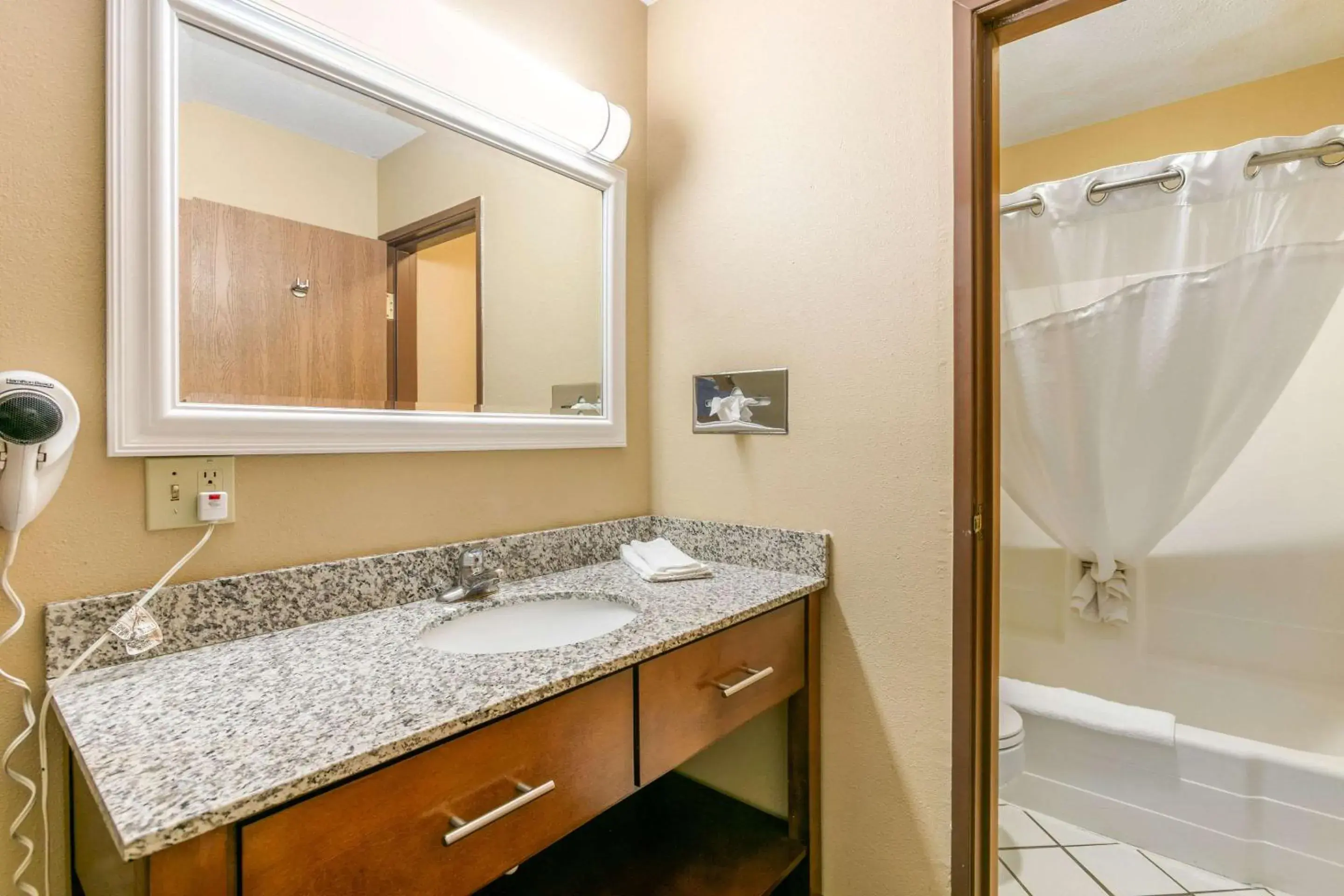 Bathroom in Rodeway Inn Rapid City