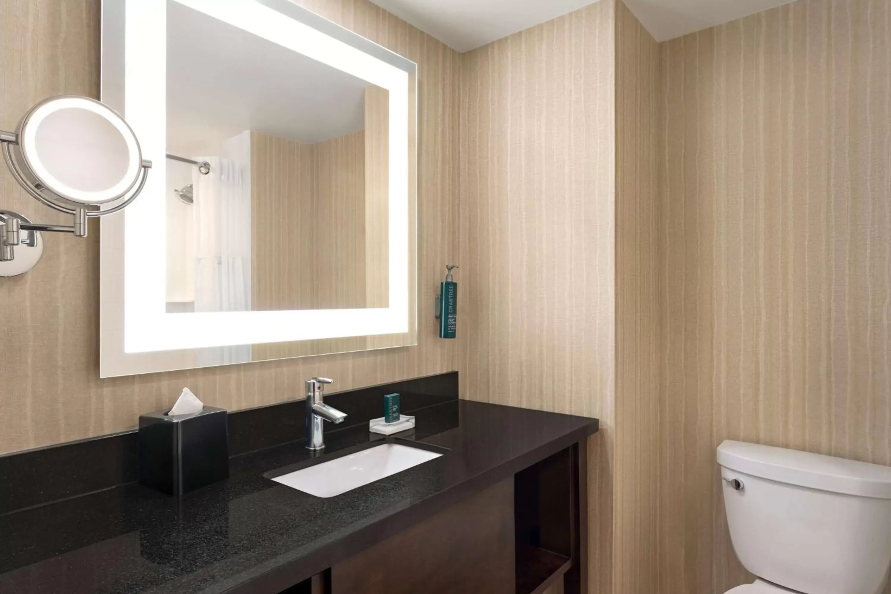 Bathroom in Doubletree By Hilton Pointe Claire Montreal Airport West