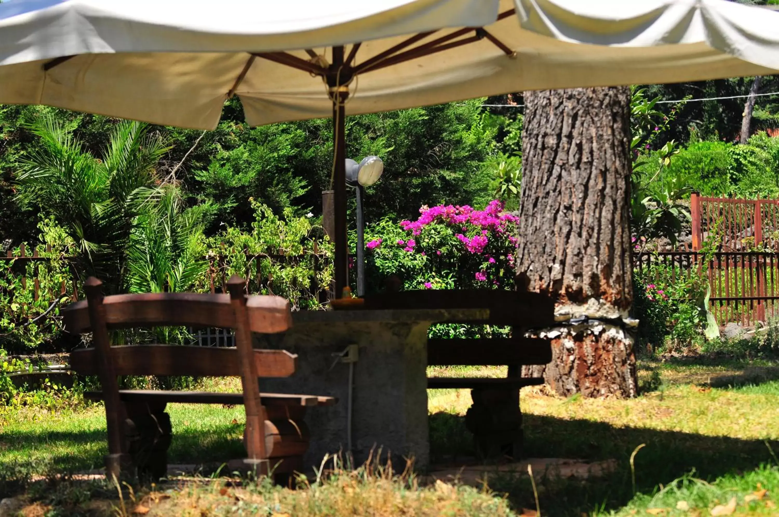 Garden, Patio/Outdoor Area in b&b Casa di Antonio_Etna Vacanze