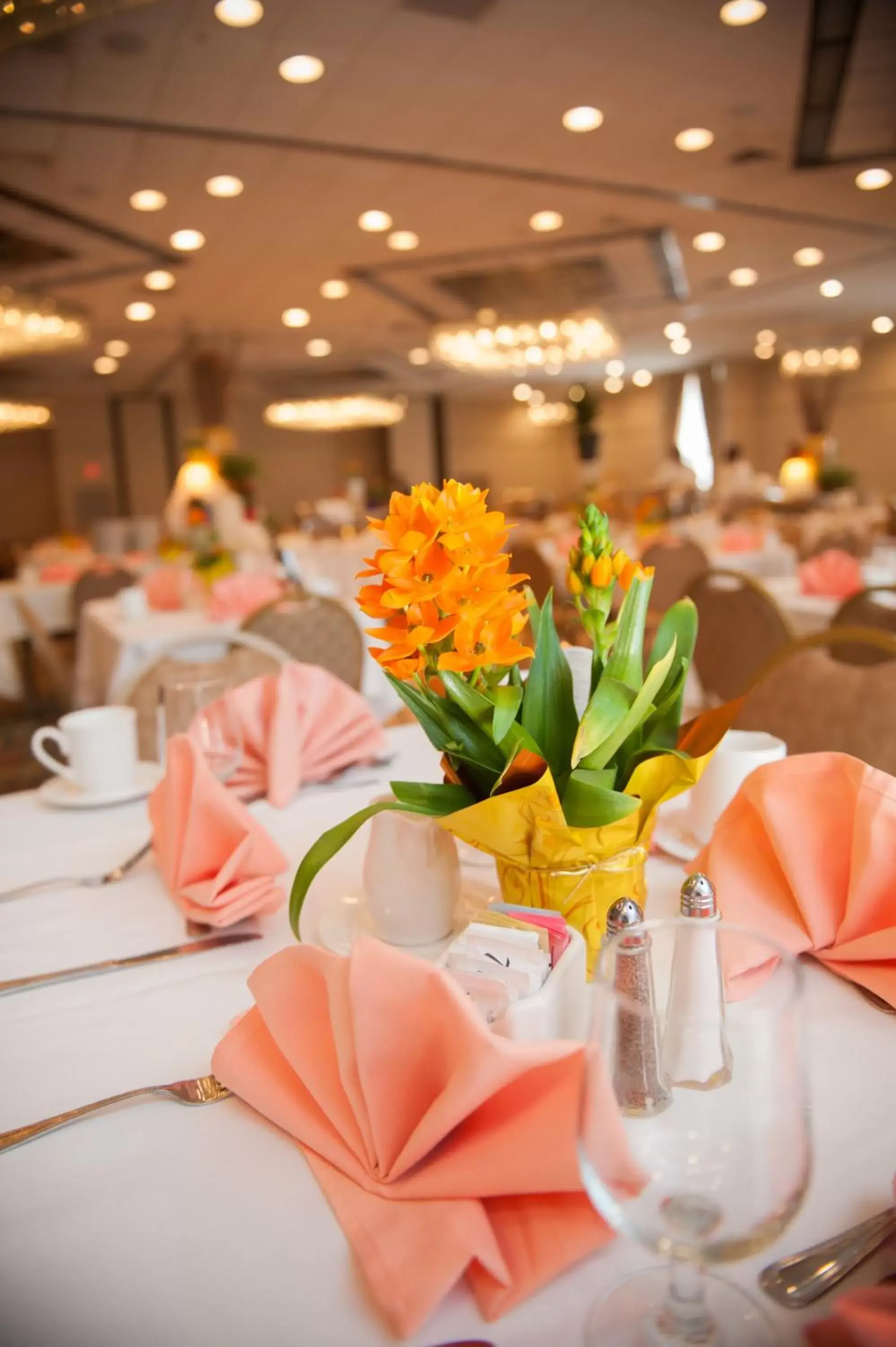 Banquet/Function facilities, Restaurant/Places to Eat in Radisson Hotel Philadelphia Northeast