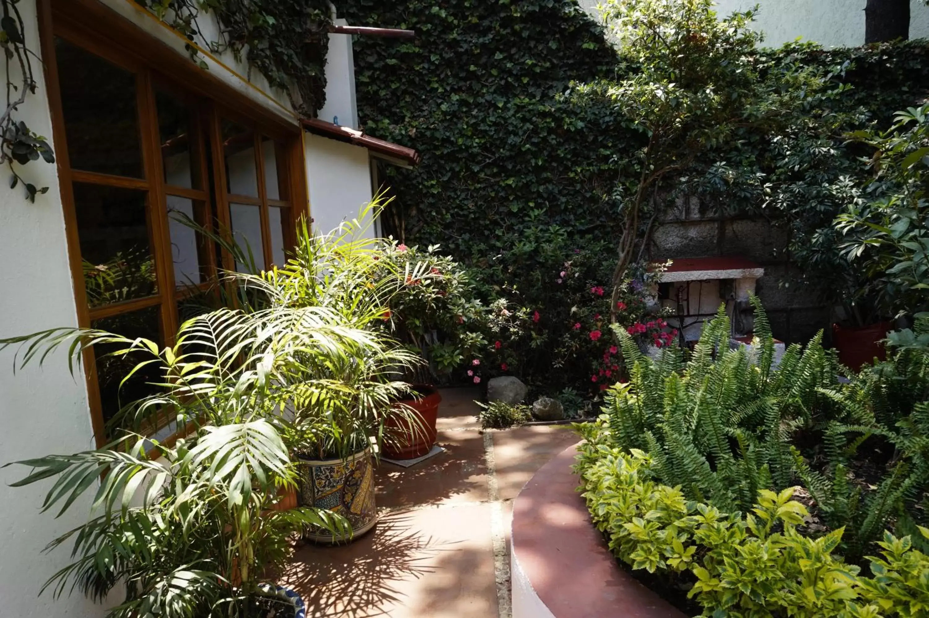 Spring, Patio/Outdoor Area in Casa Jacinta Guest House
