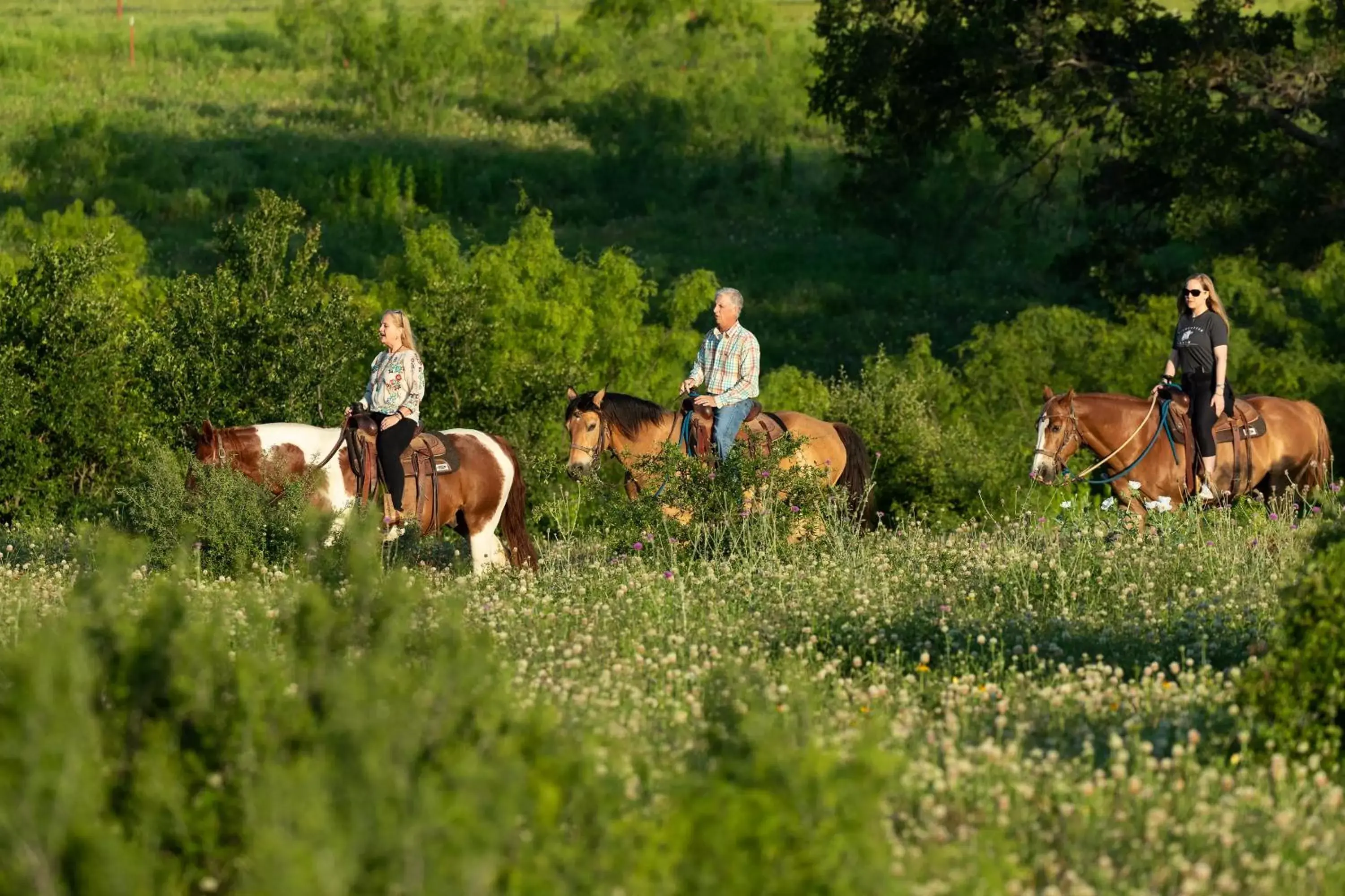 Horse-riding, Other Animals in Wildcatter Ranch and Resort