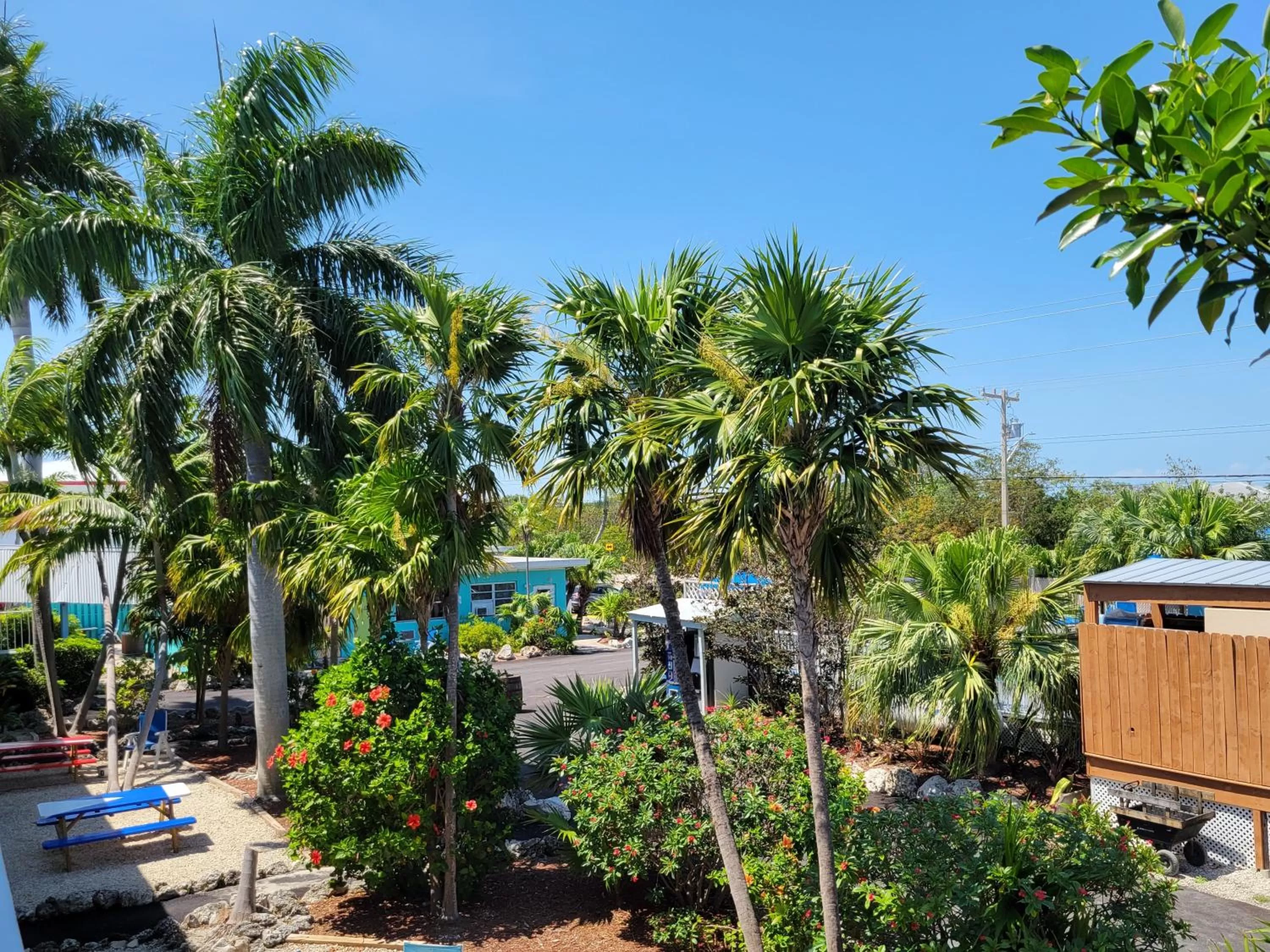Property building in Looe Key Reef Resort and Dive Center