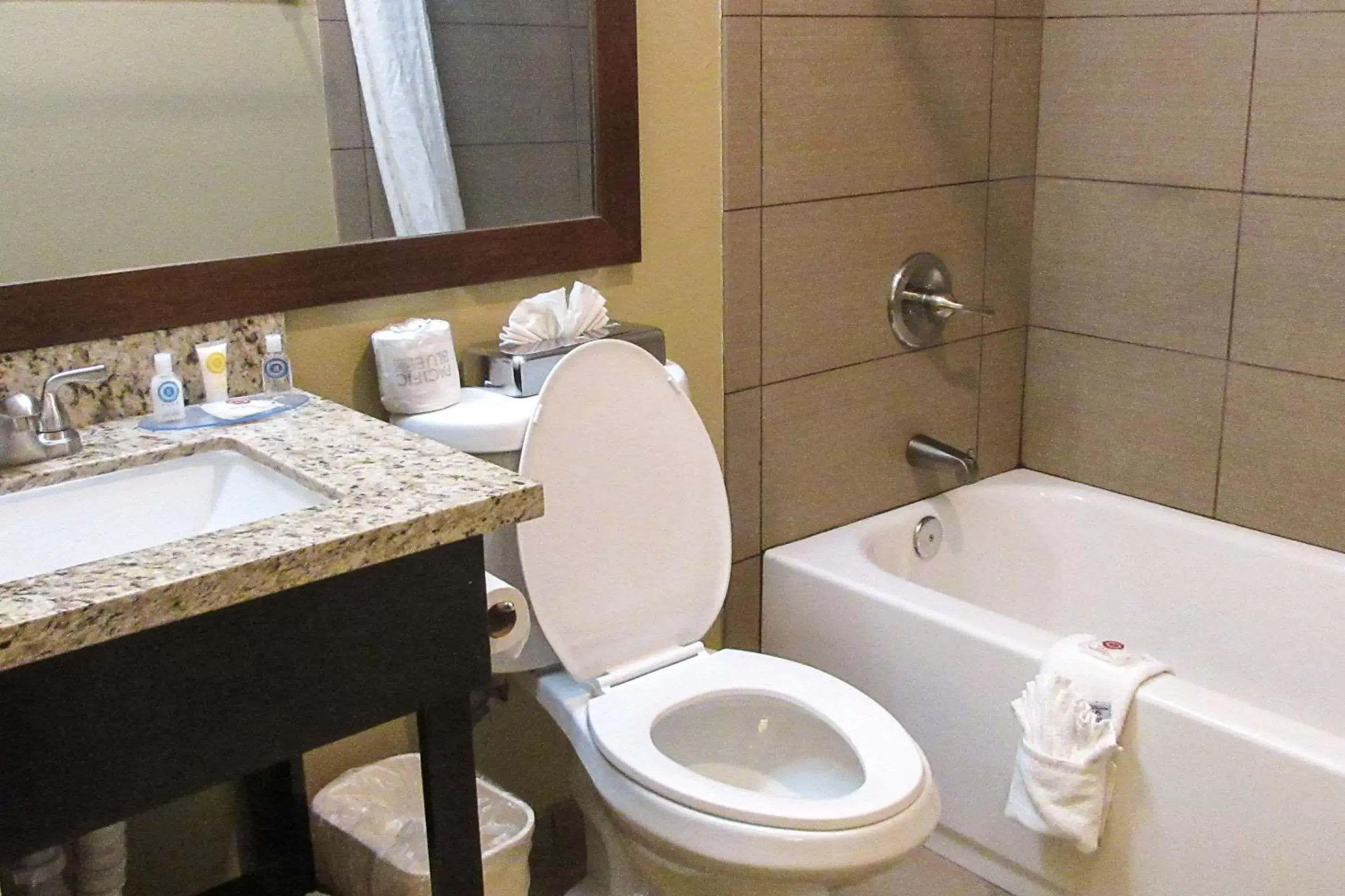 Bathroom in Comfort Inn Modesto