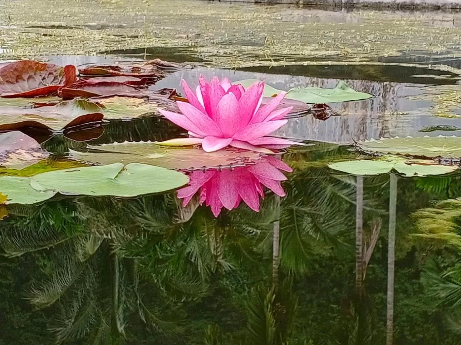 Arawan Beach Resort Krabi