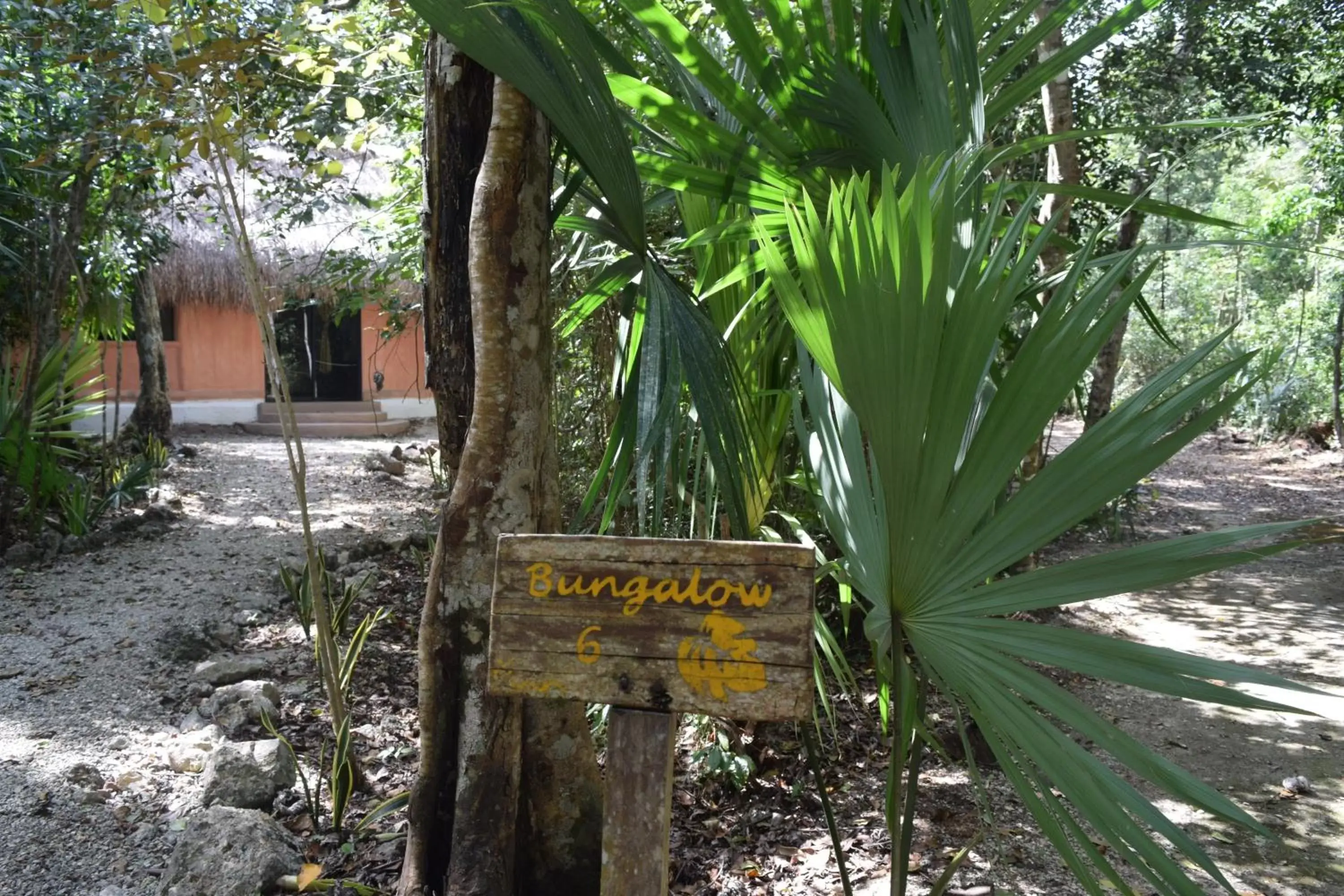 Natural landscape in Jolie Jungle Eco Hotel