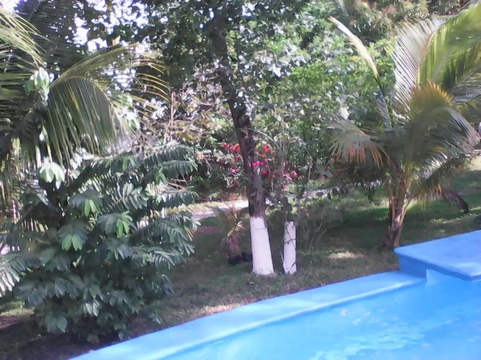 , Swimming Pool in Mansion Giahn Bed & Breakfast