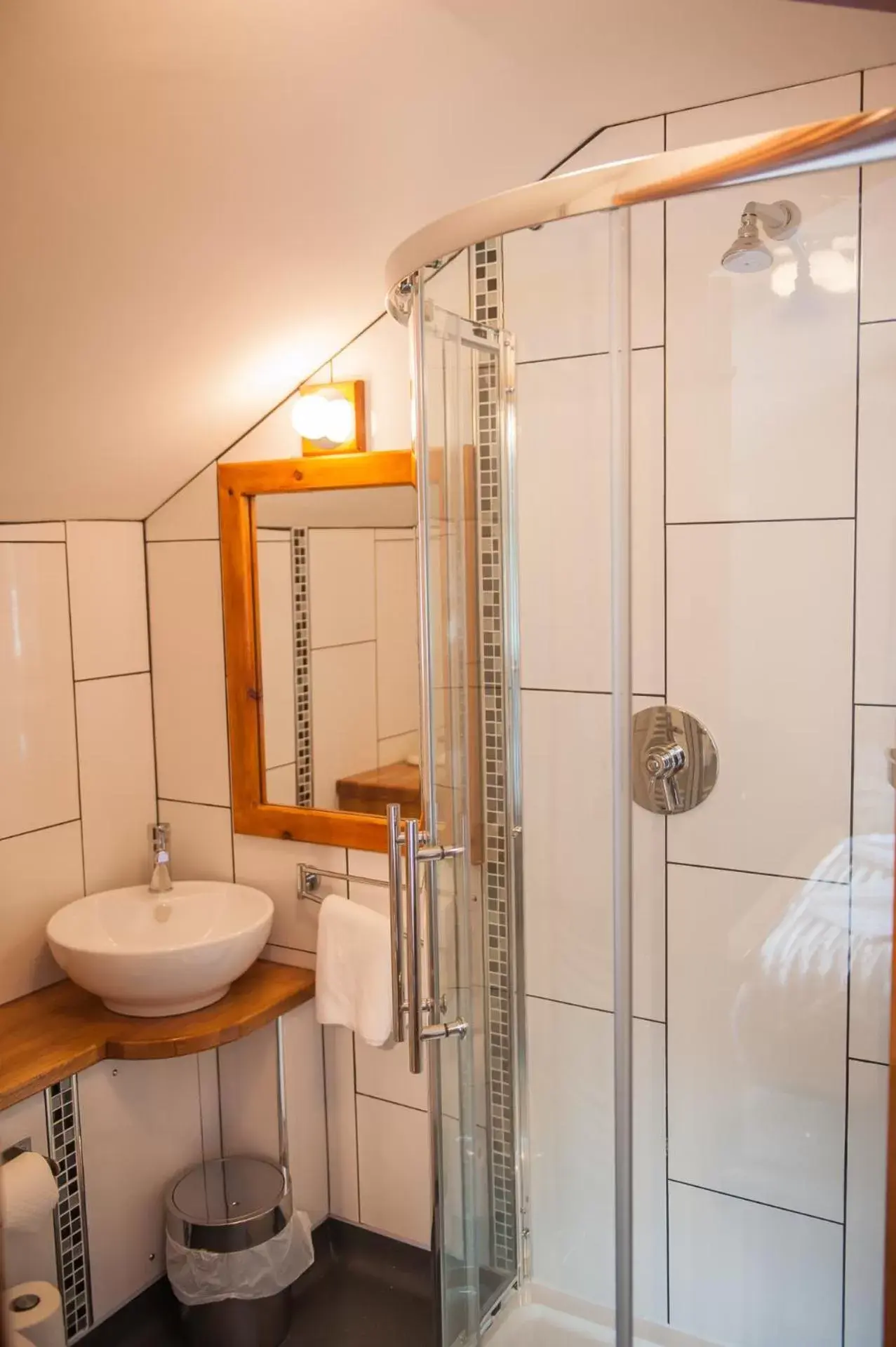 Shower, Bathroom in The Little Crown Inn