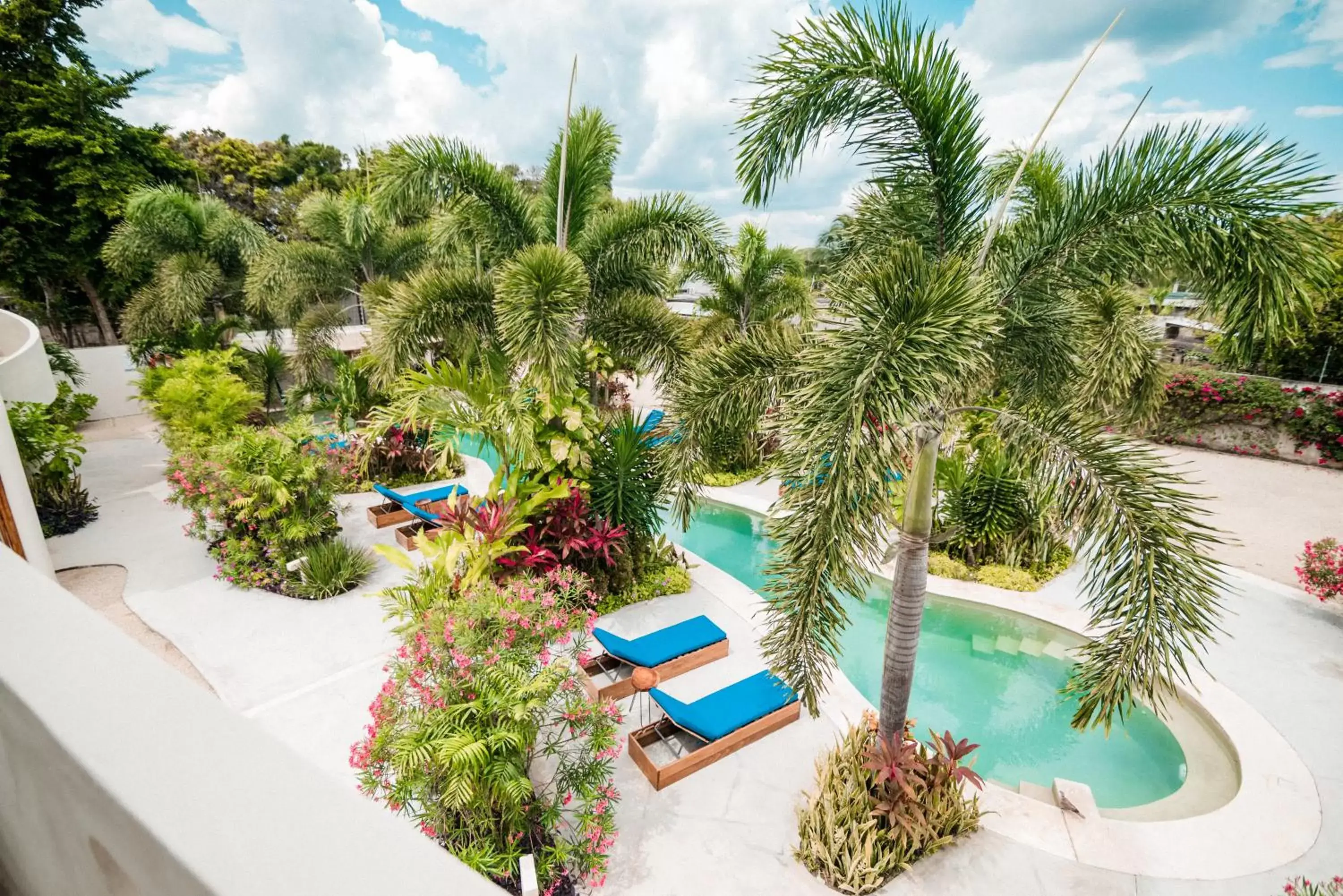 Pool View in Blue Palm Bacalar