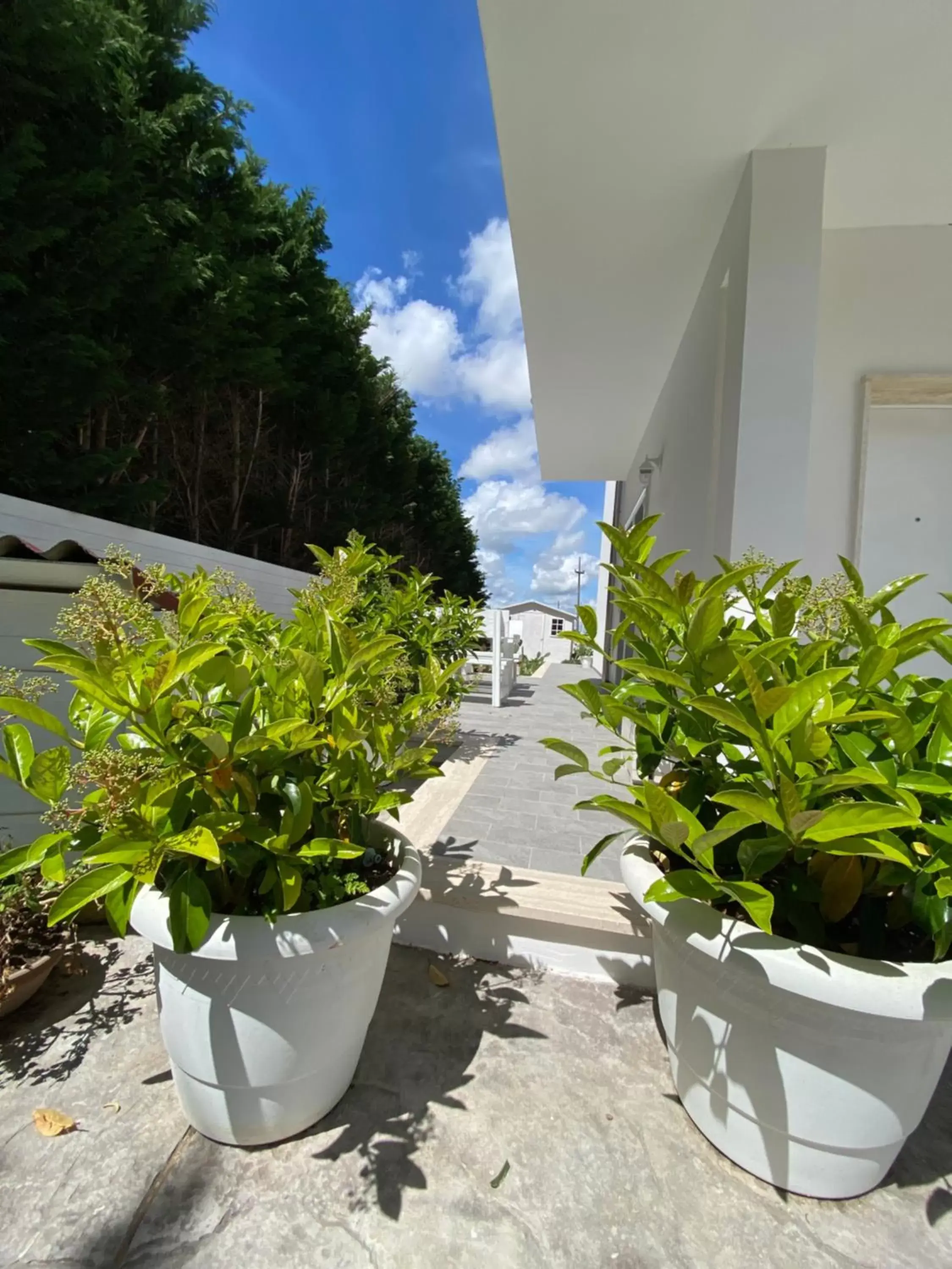 Garden in La casa di Nina