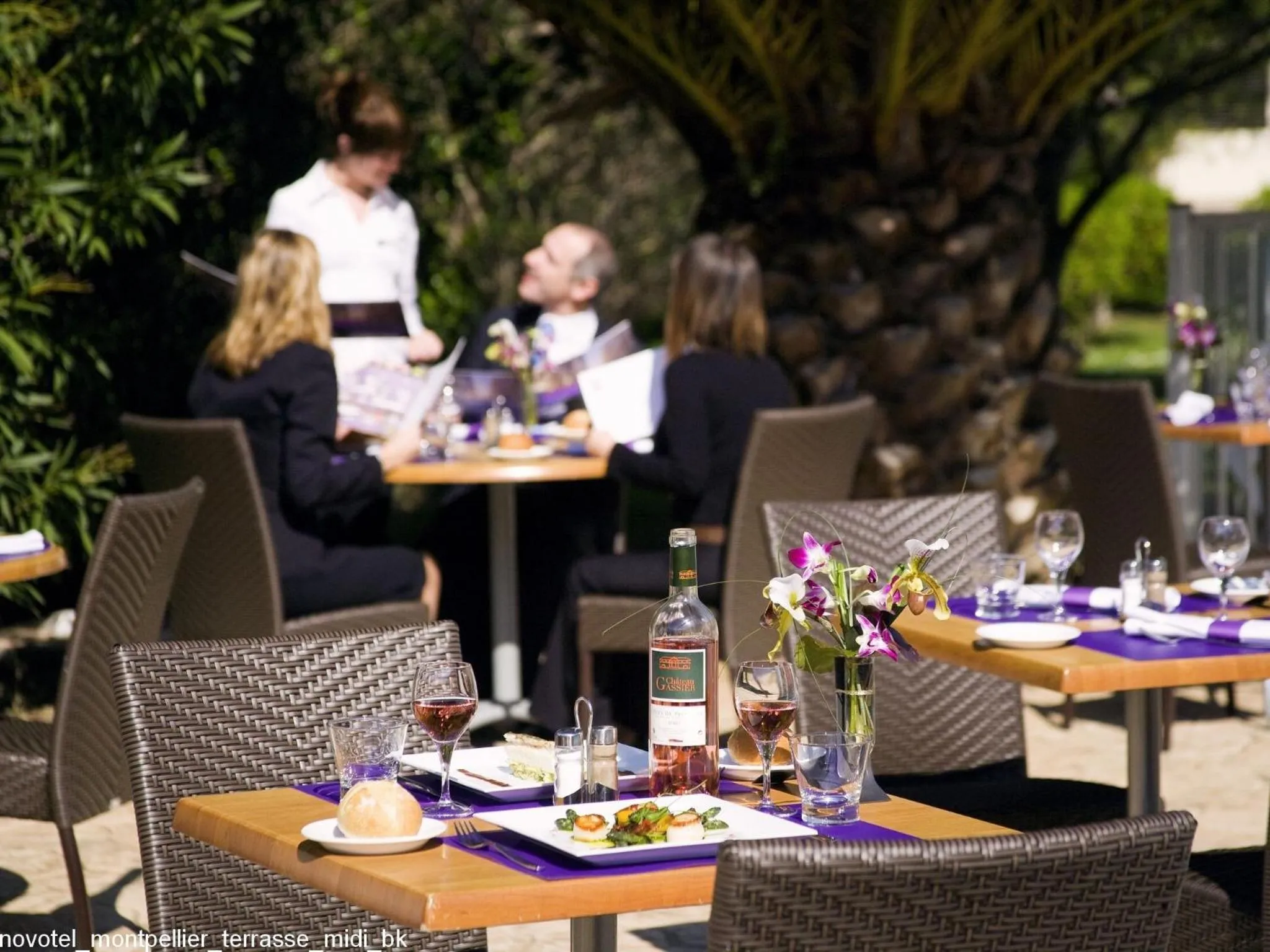 Restaurant/places to eat in Novotel Montpellier