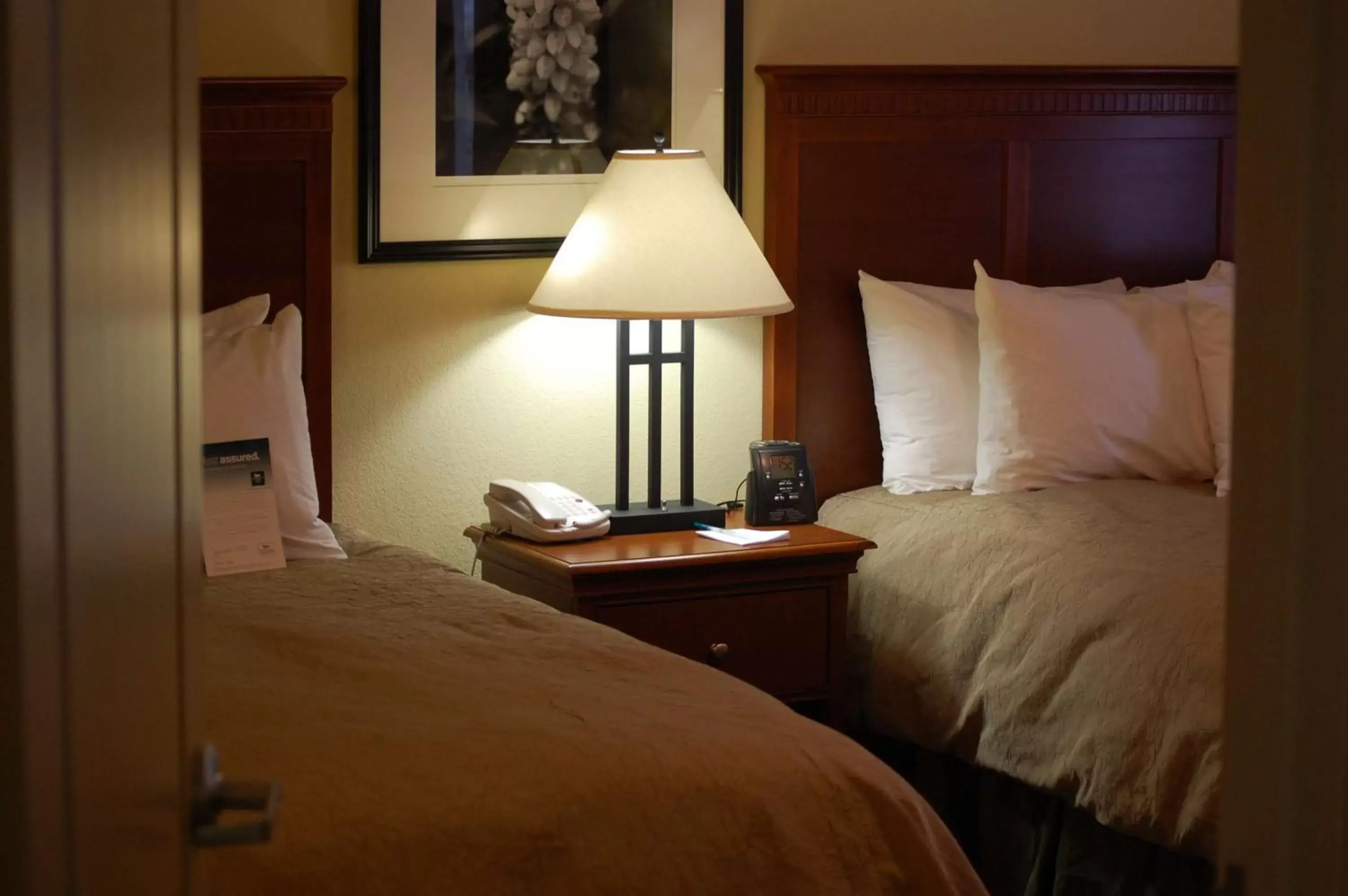 Bed in Homewood Suites by Hilton Denver - Littleton