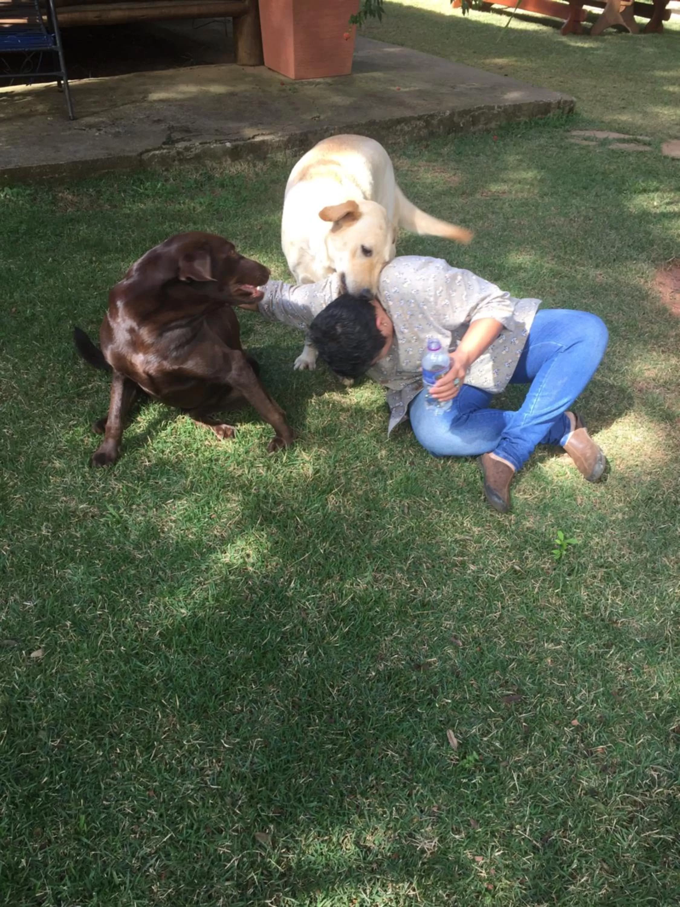 A Mi Manera Pousada , cerveja própria e Bistrô !