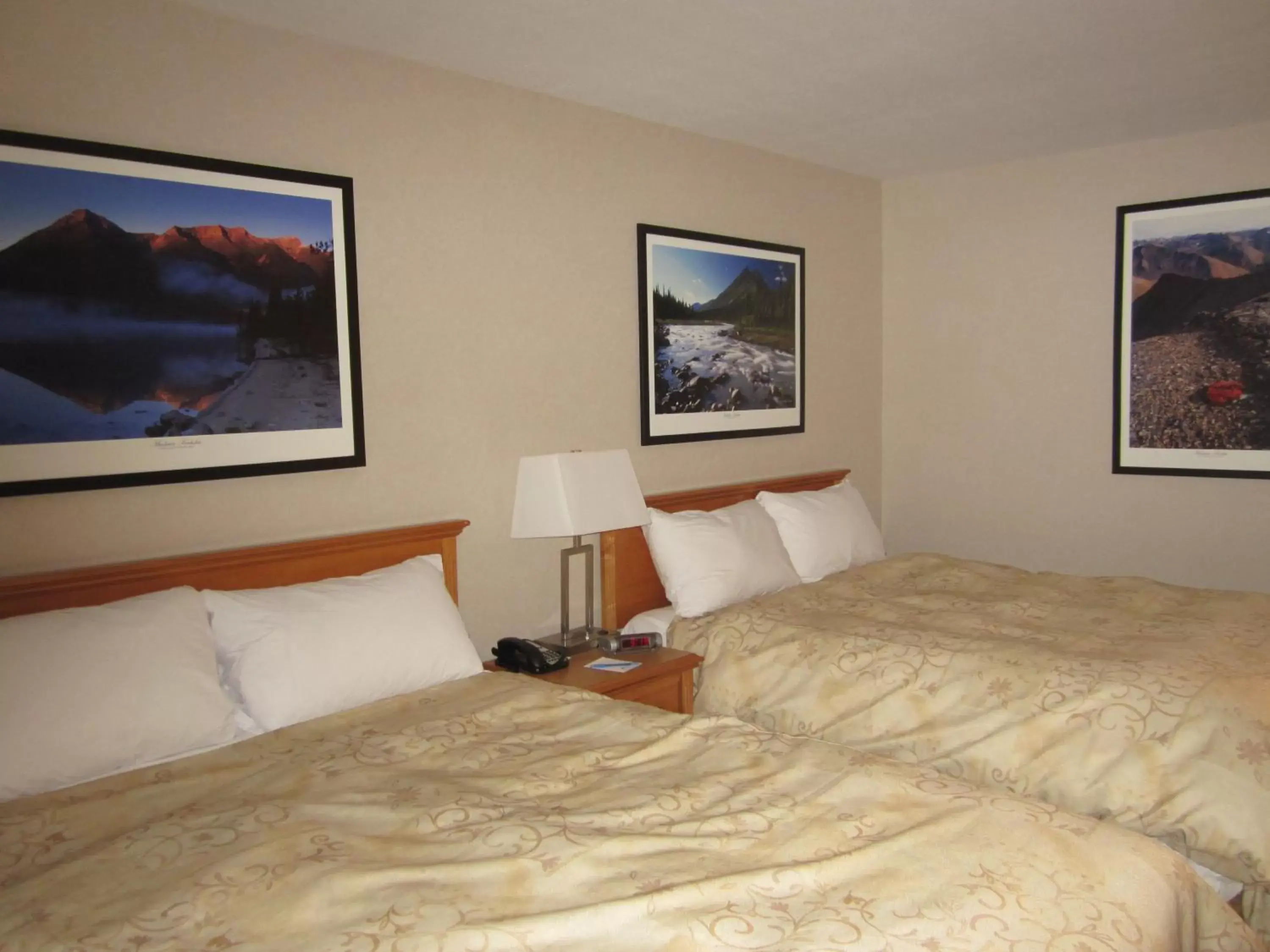 Bedroom, Bed in Woodlands Inn & Suites