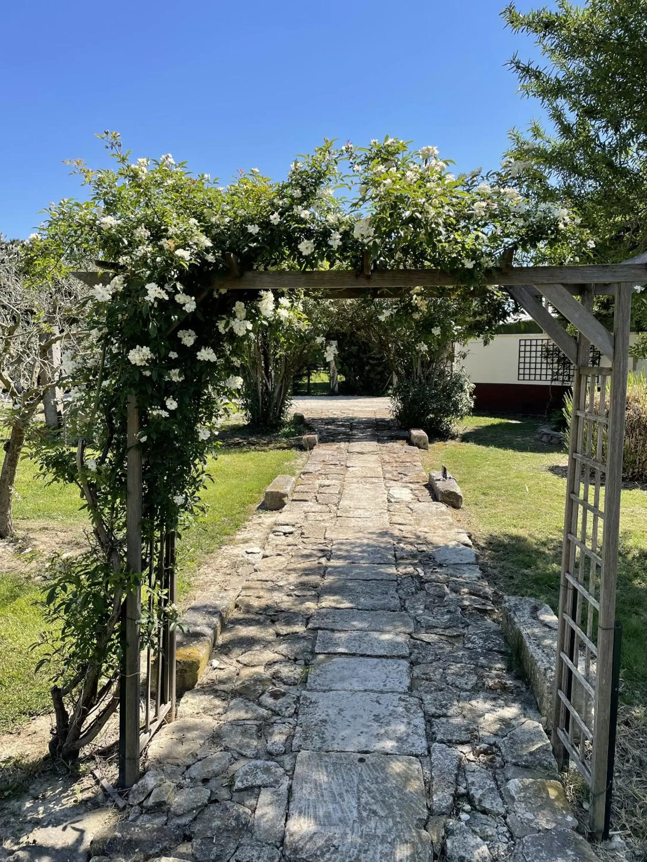 Garden in Le Mas Des Chutes