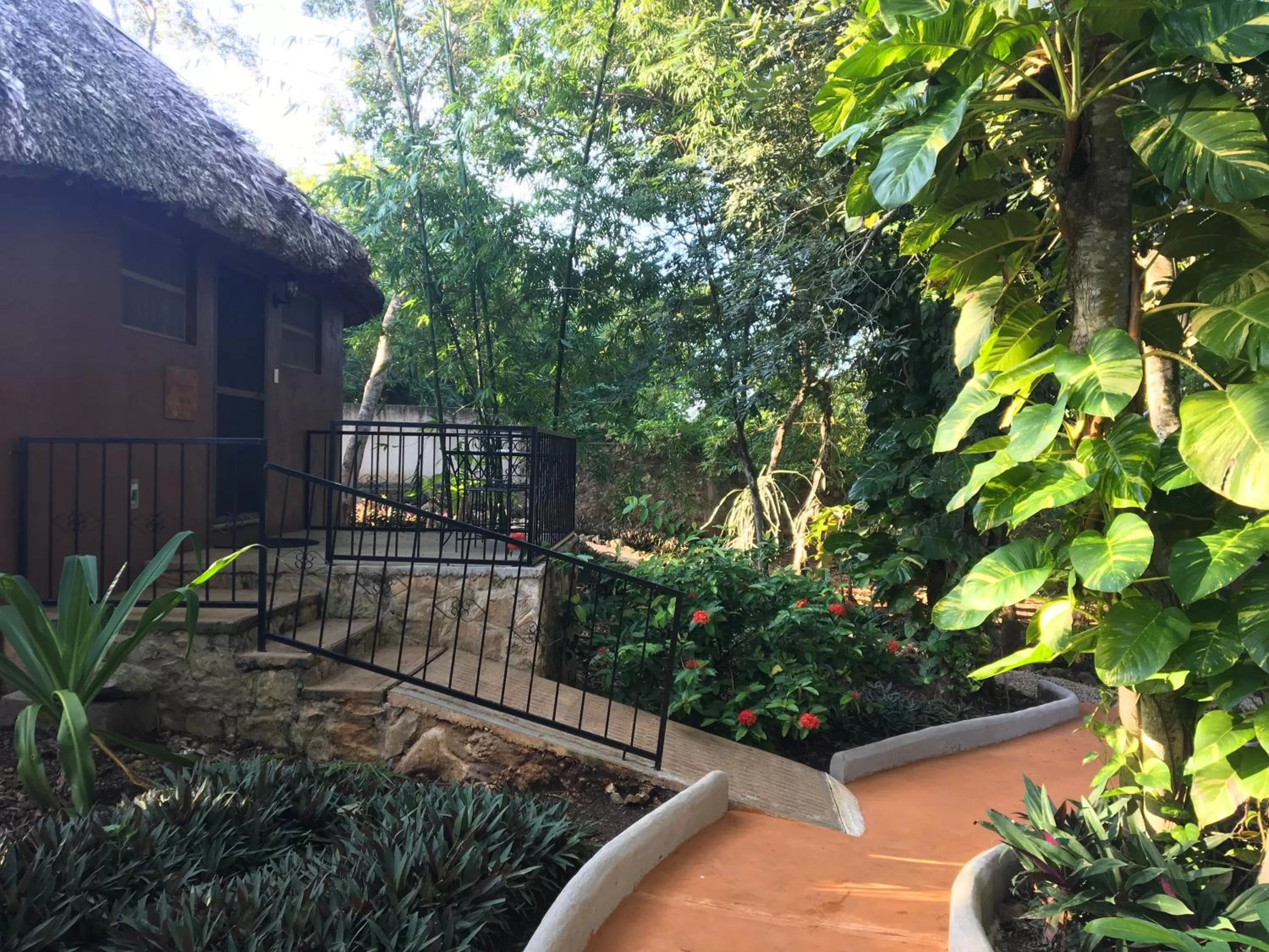 Summer in The Pickled Onion Eco-Boutique B&B