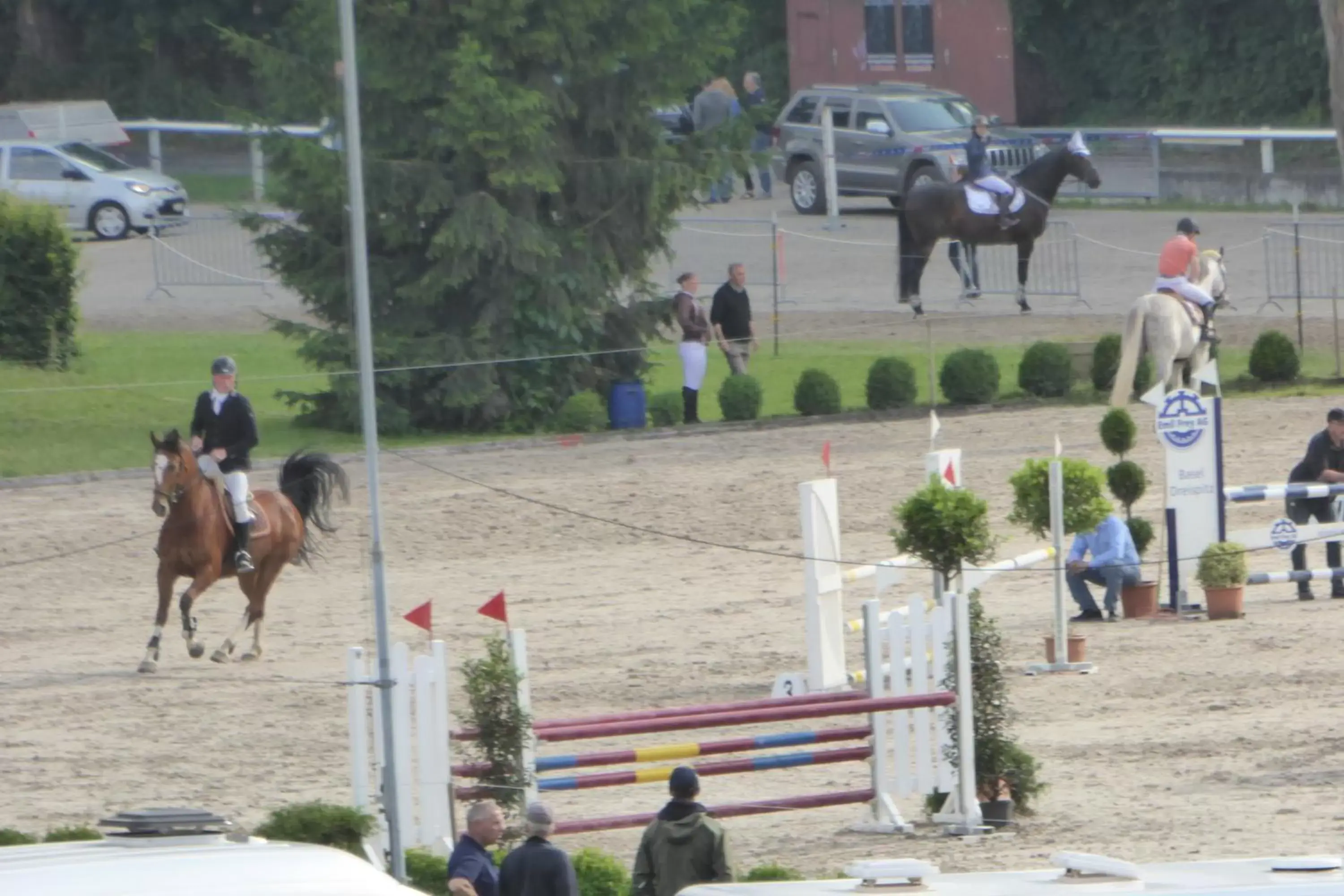 Horse-riding in B&B Pappelweg - 2